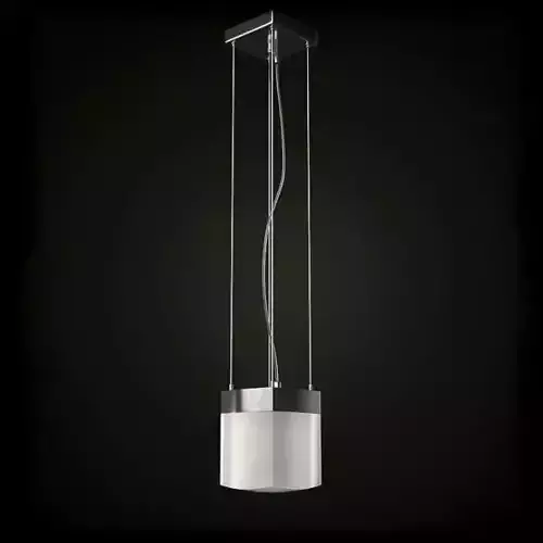 Stylish Ceiling Lamp