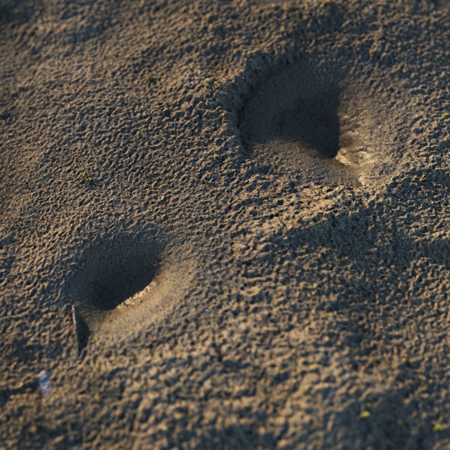 Wet Mud Material 01 3D model_6