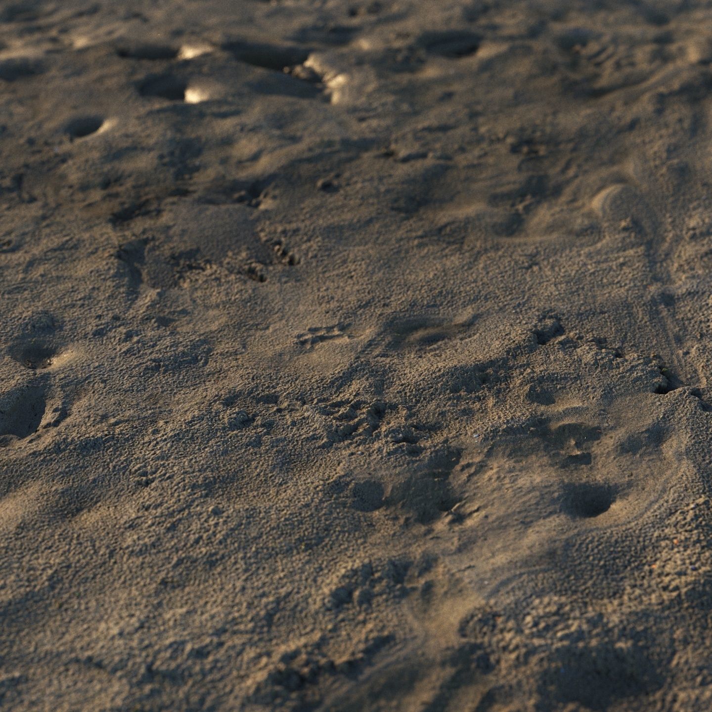 Wet Mud Material 01 3D model_5