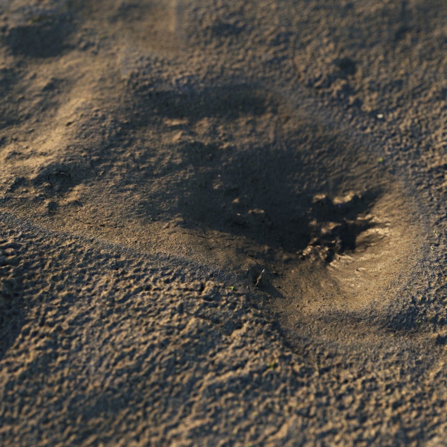 Wet Mud Material 01 3D model_2