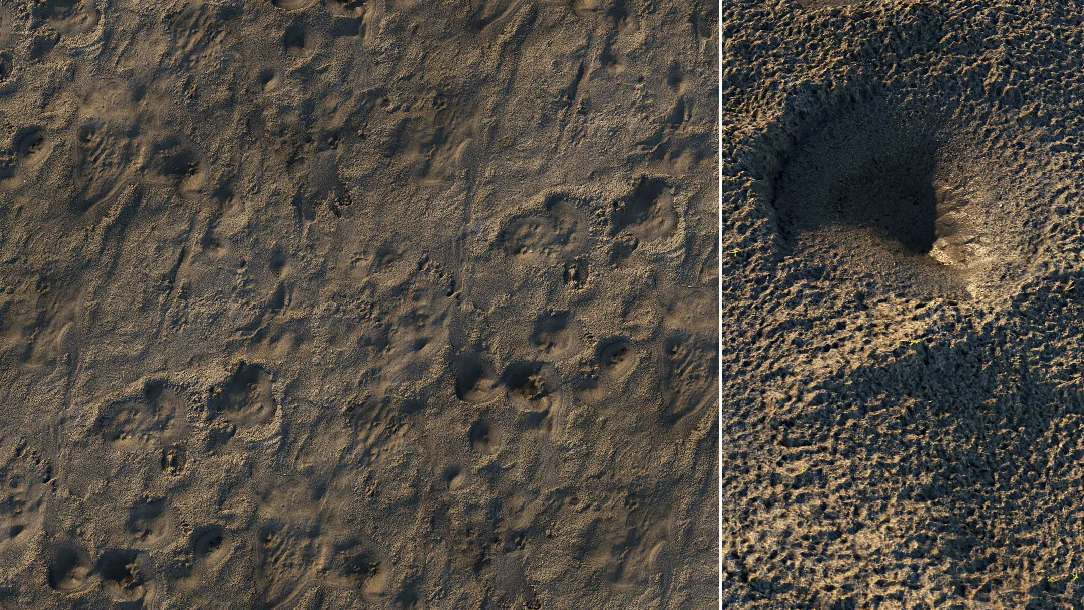 Wet Mud Material 01 3D model_0