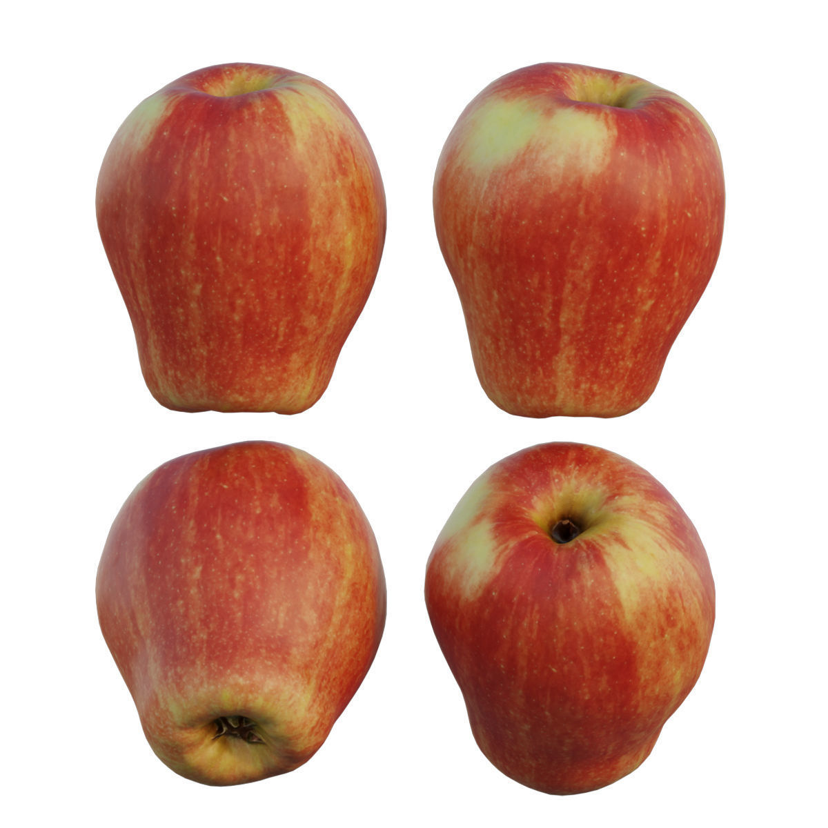 Sonya Apple 3D model_5