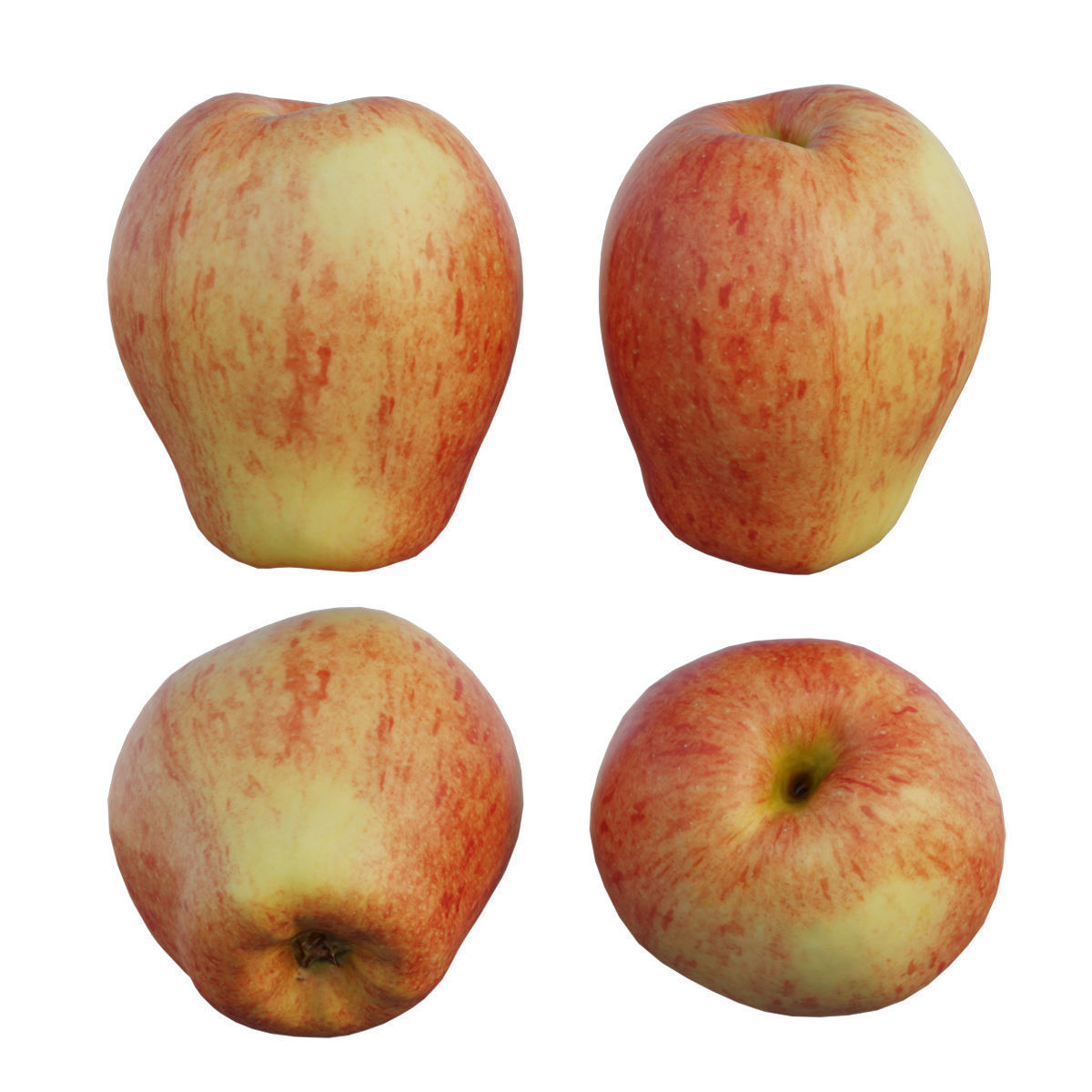 Sonya Apple 3D model_6