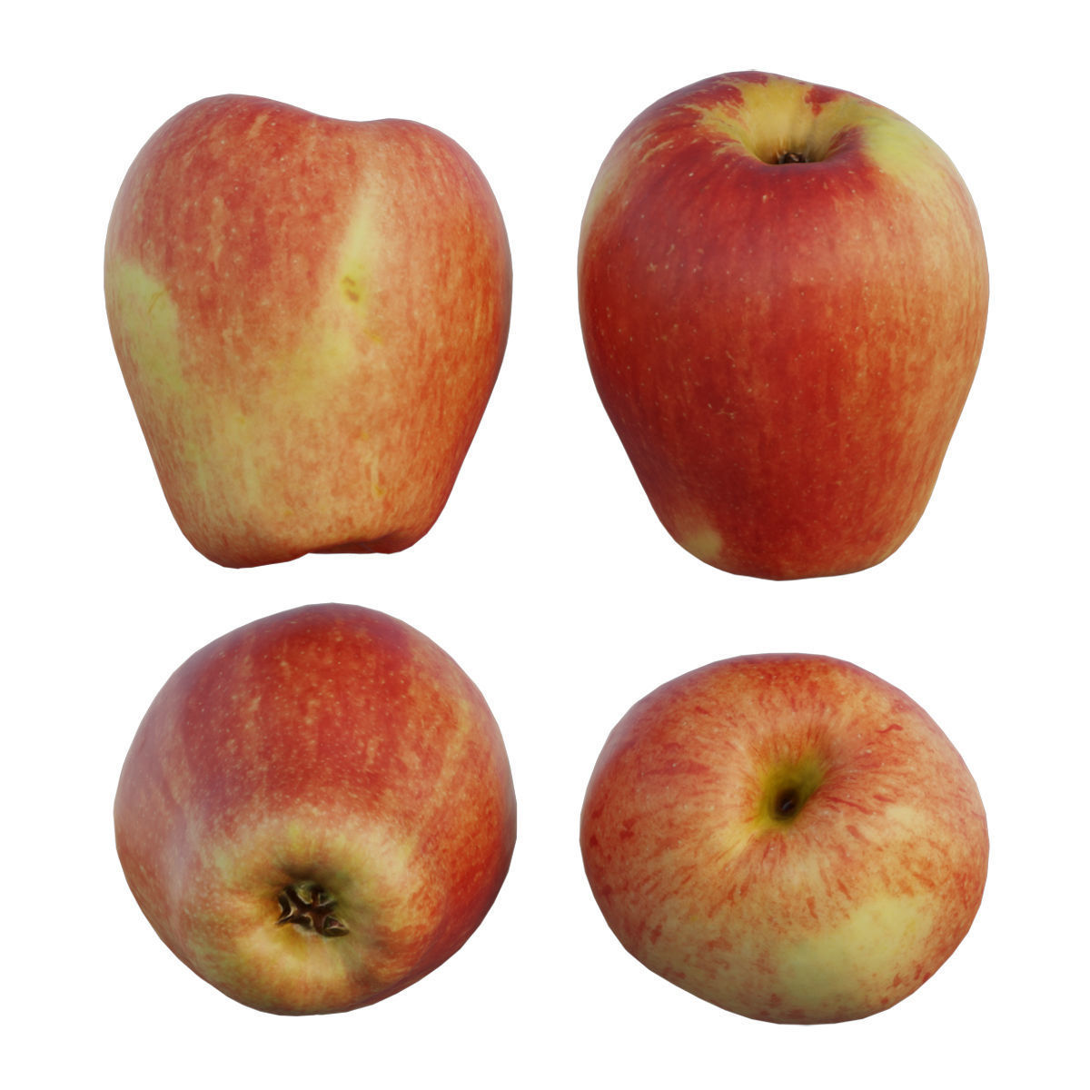 Sonya Apple 3D model_3