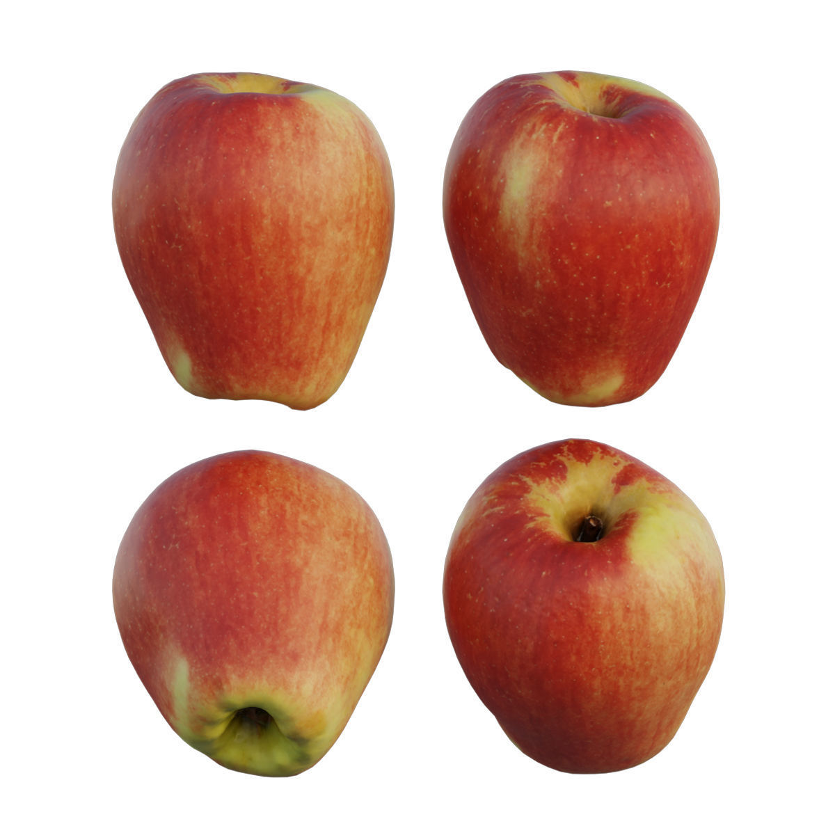 Sonya Apple 3D model_4