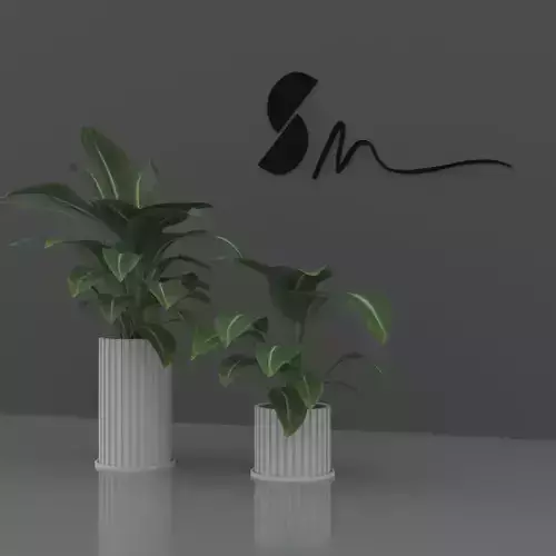 indoorplantSm1 two potted plants on table 3D model