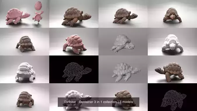 Tortoise - Container 3 in 1 collection