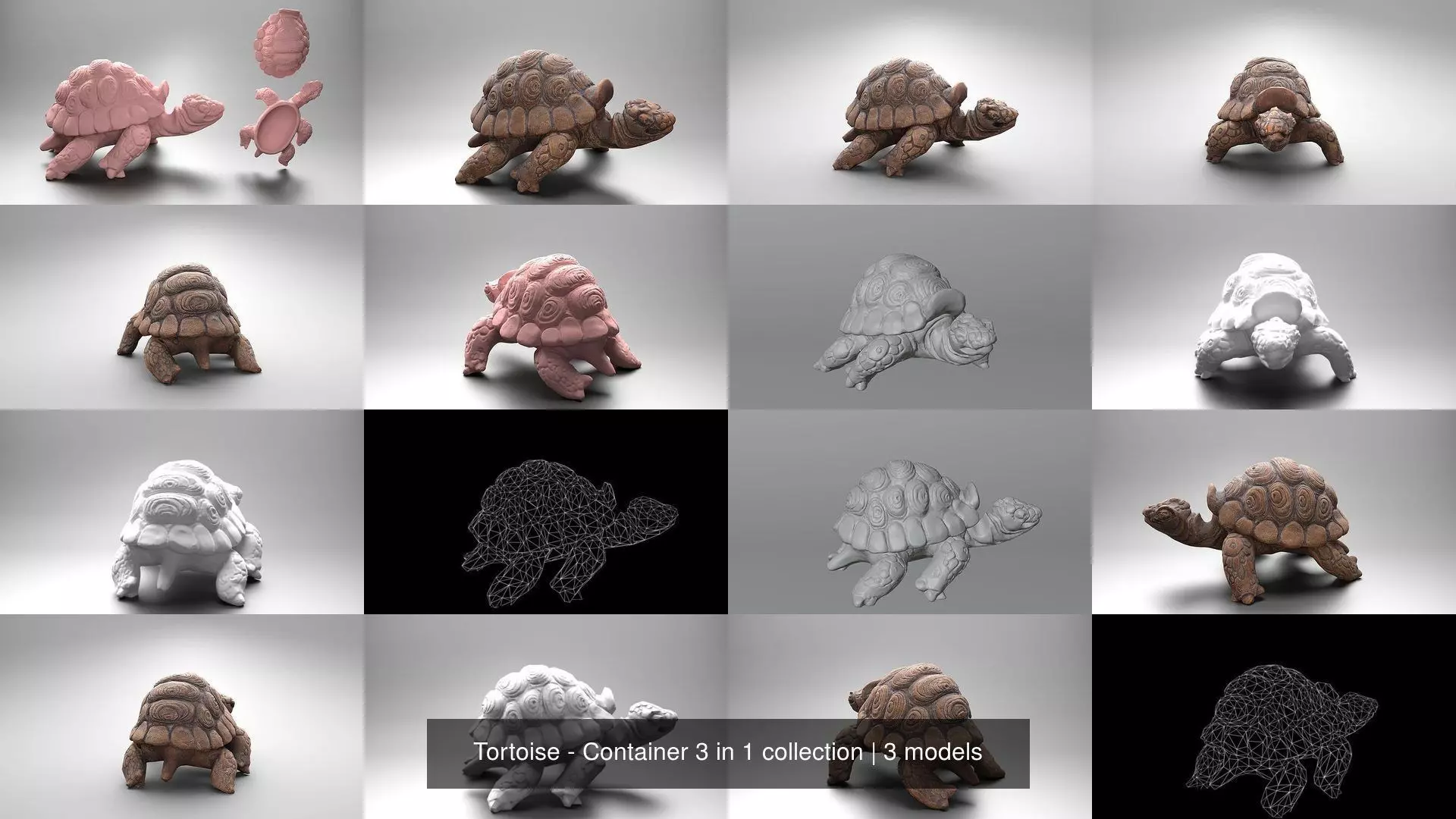 Tortoise - Container 3 in 1 collection _7