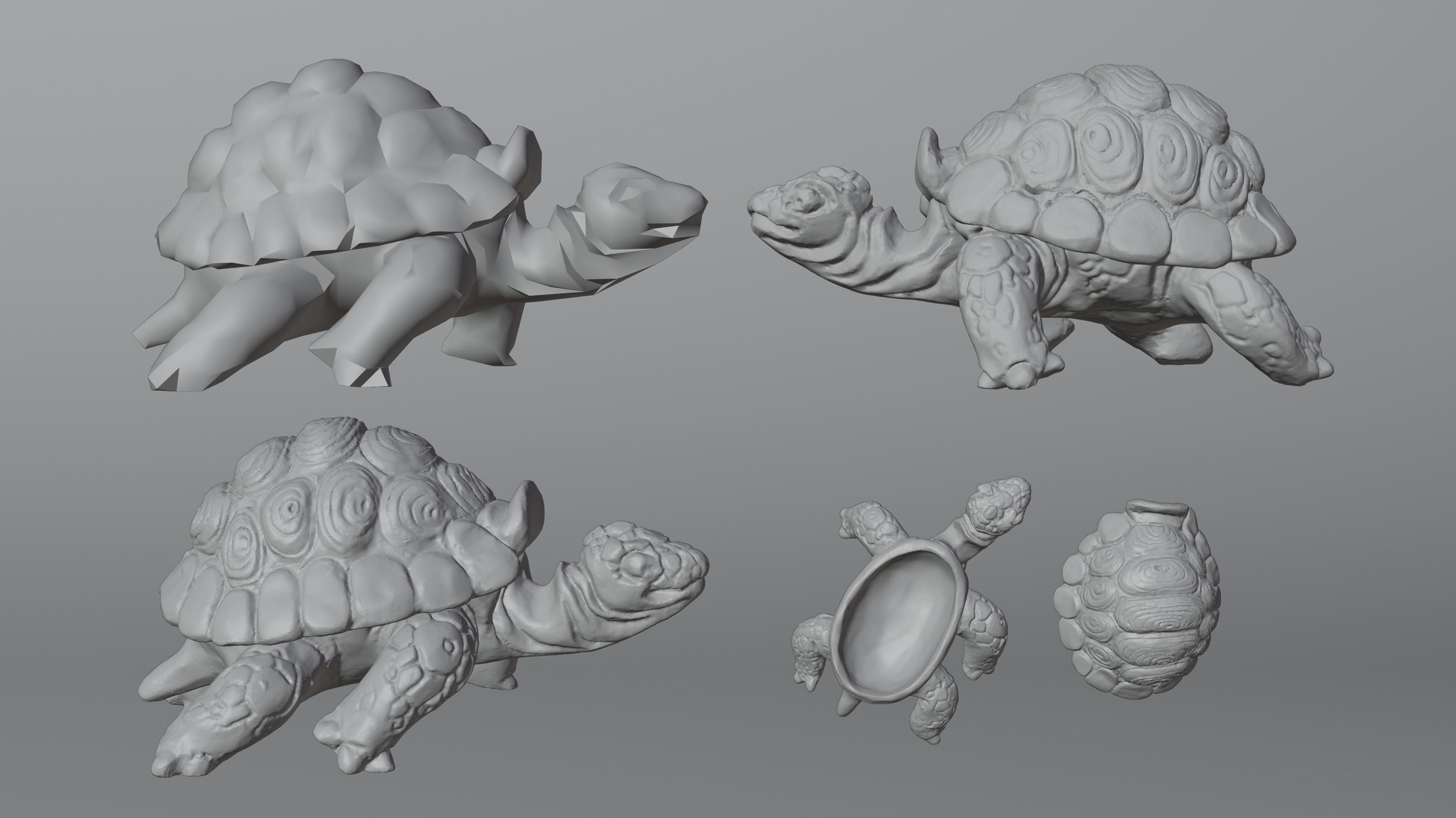 Tortoise - Container 3 in 1 collection _12