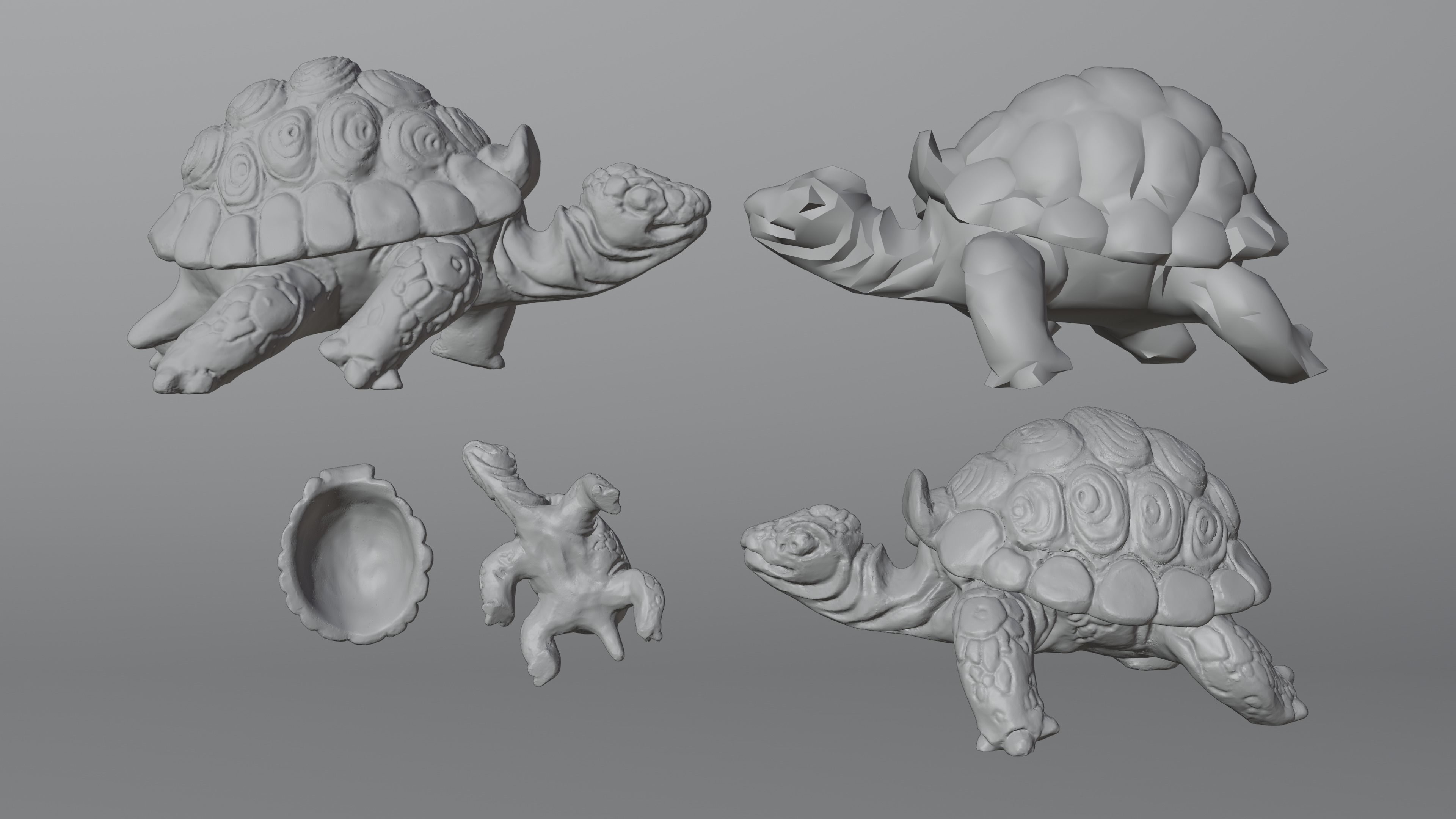 Tortoise - Container 3 in 1 collection _11