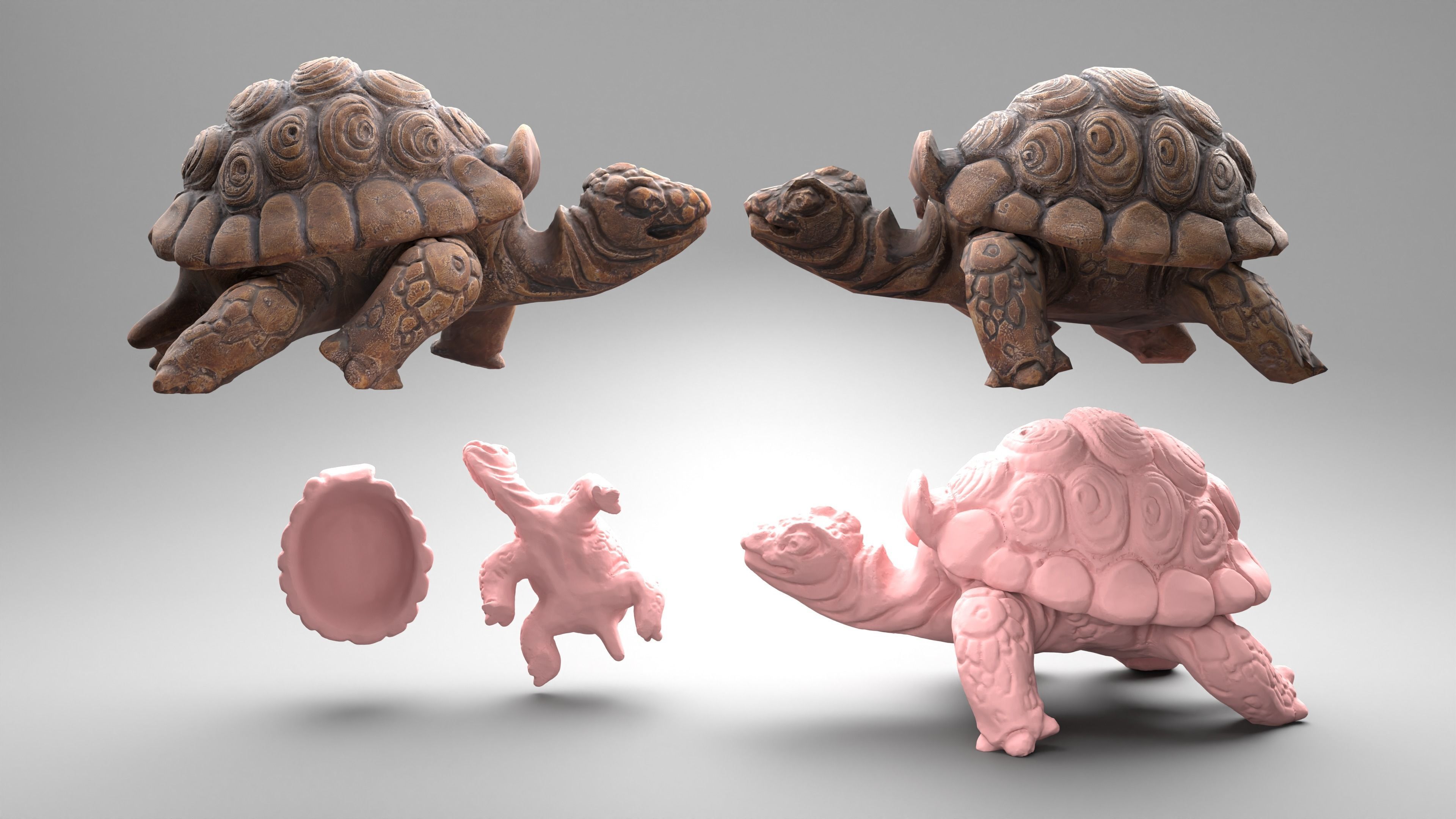 Tortoise - Container 3 in 1 collection _8