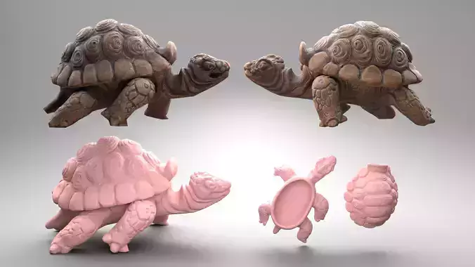 Tortoise - Container 3 in 1 collection Tortoise - Container 3 in 1 collection