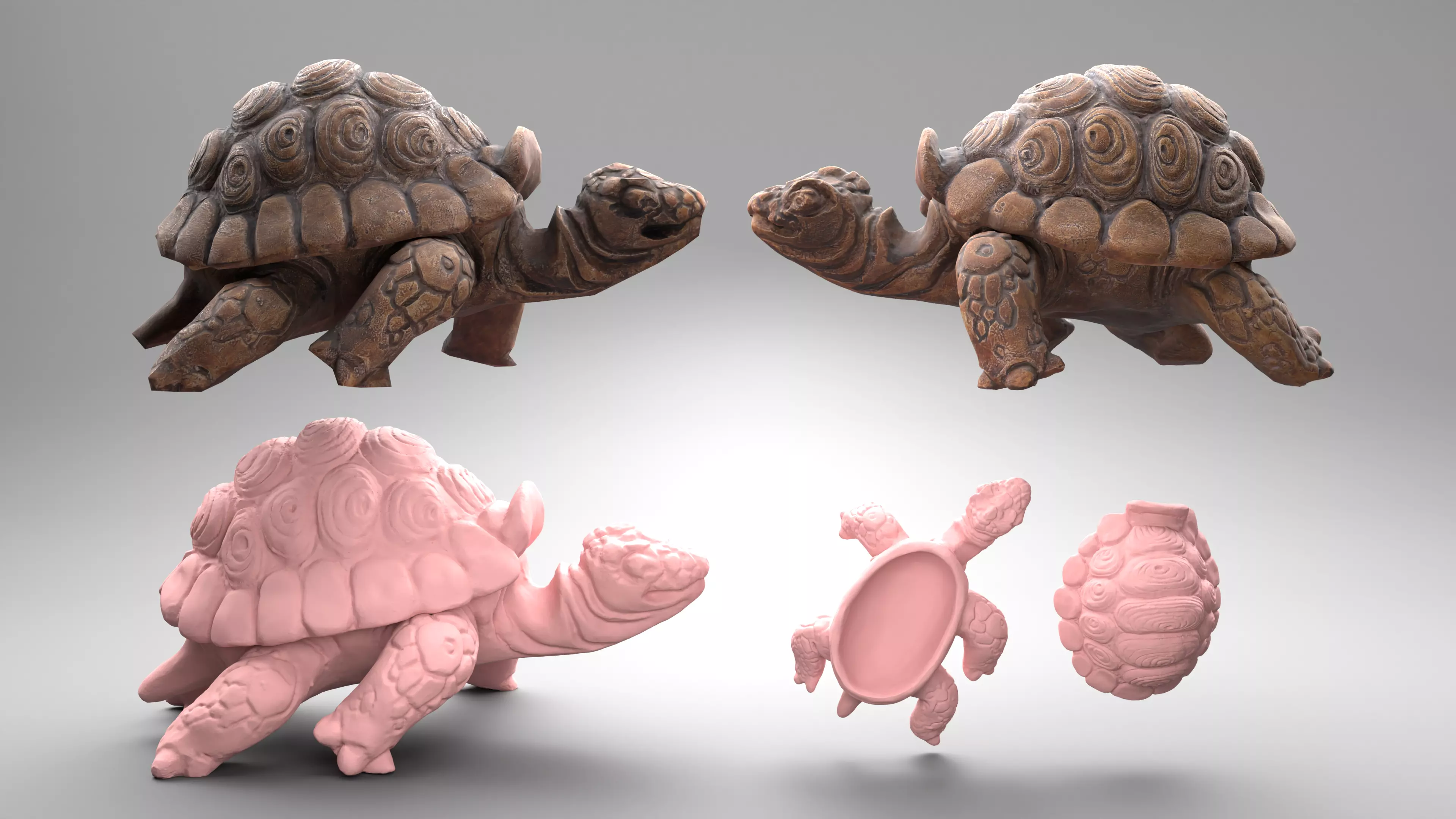 Tortoise - Container 3 in 1 collection _0