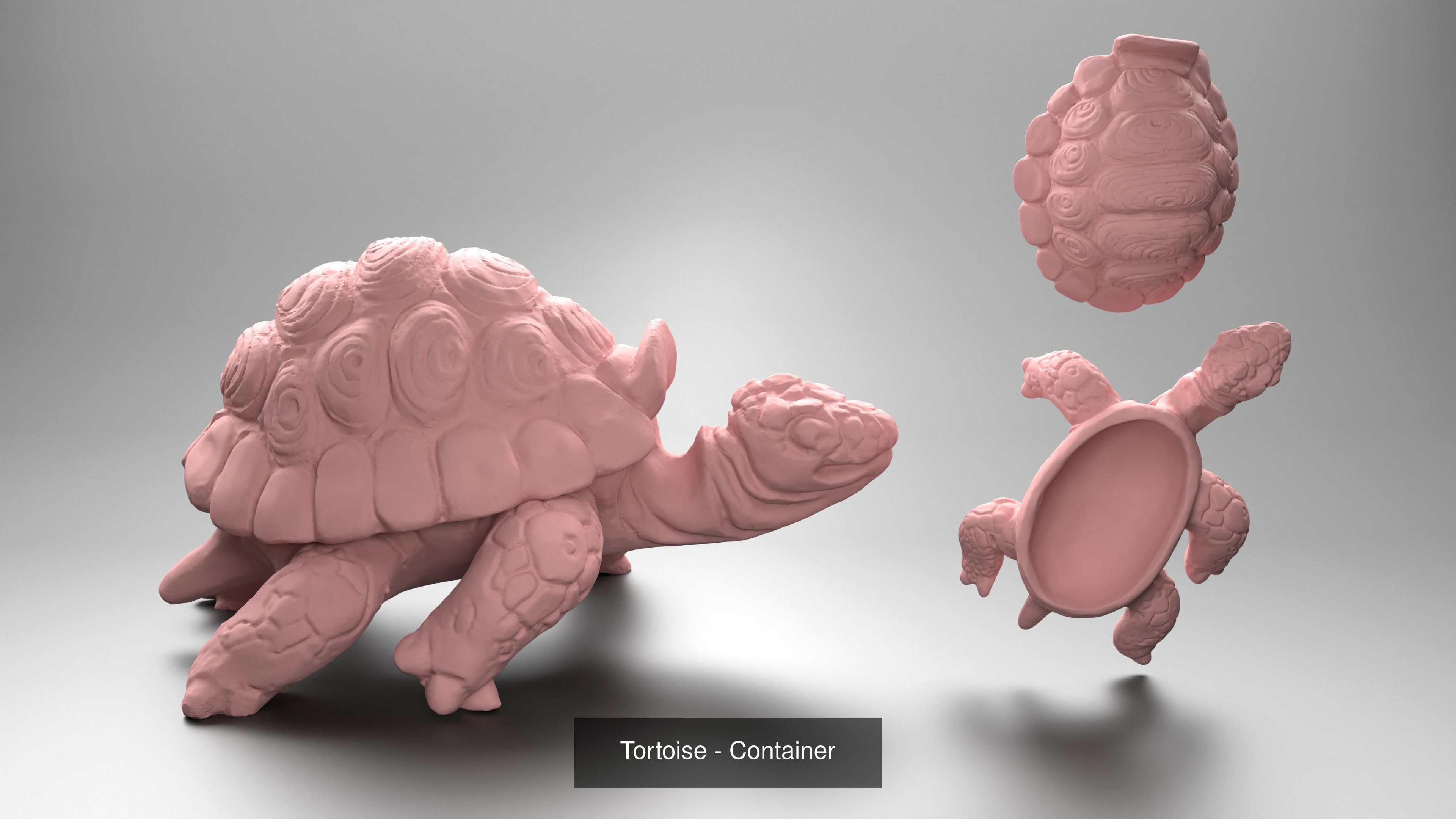 Tortoise - Container 3 in 1 collection _9