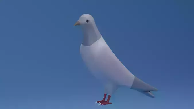 Cartoon Cute Pigeon Dove Low-poly 3D model