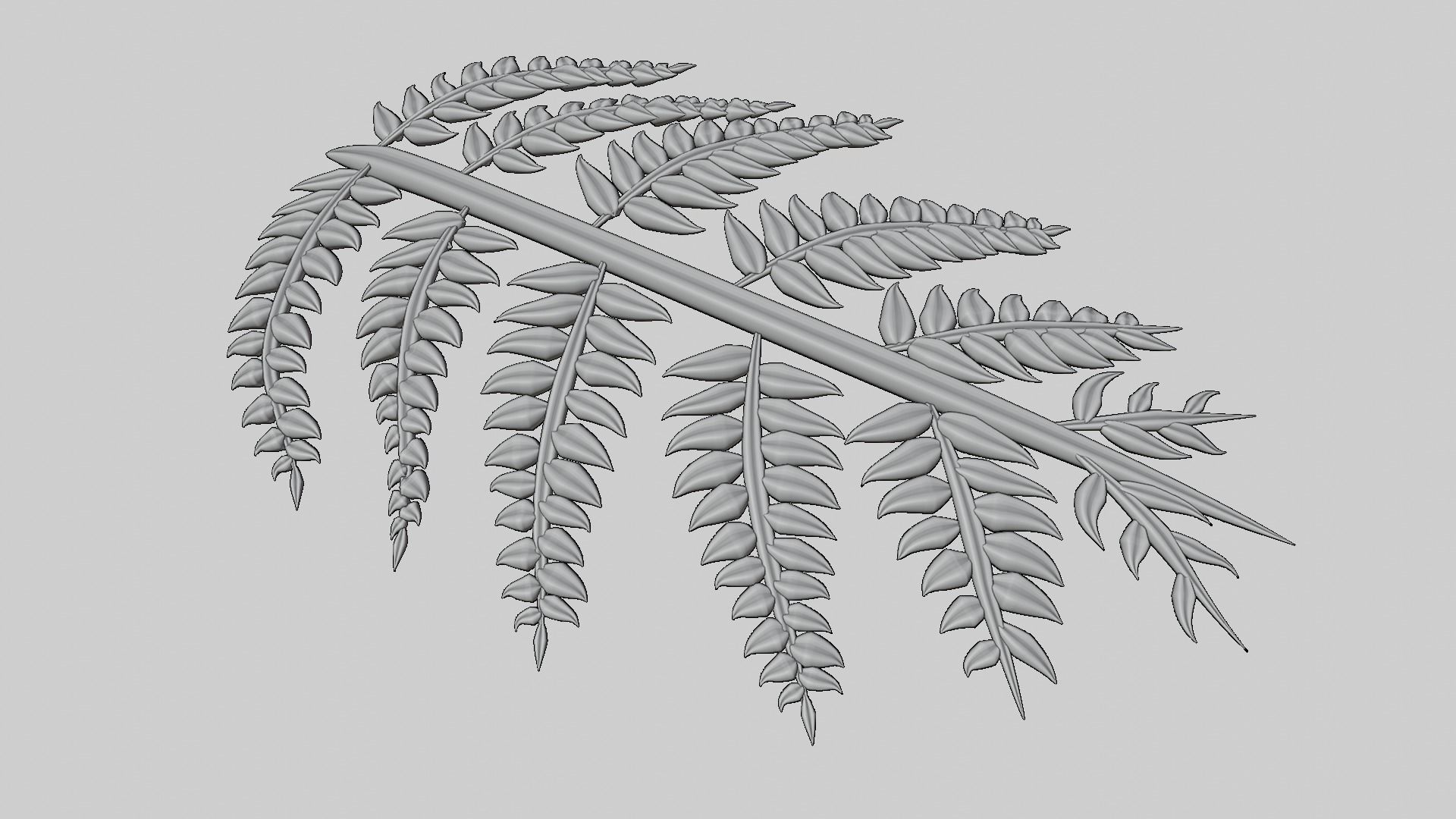 Fern Plant Branch 3D model_16