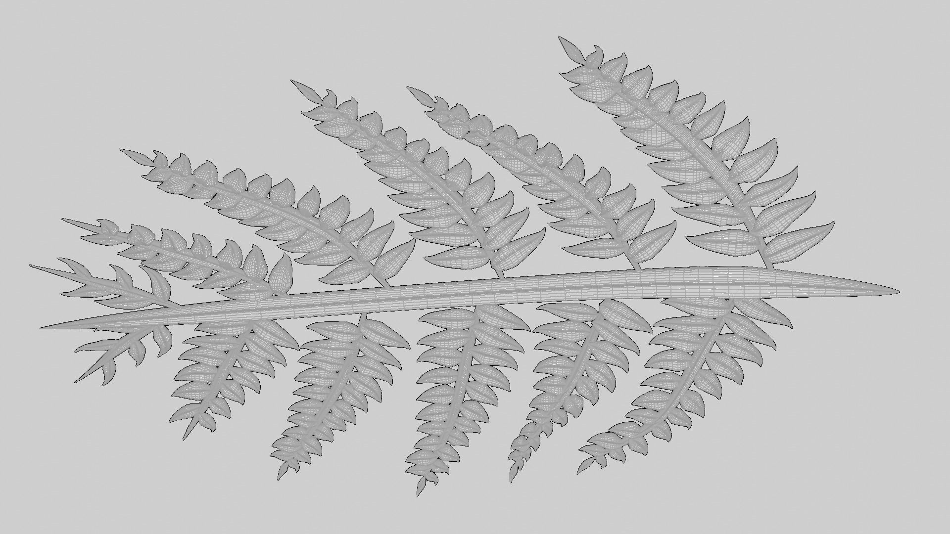 Fern Plant Branch 3D model_25