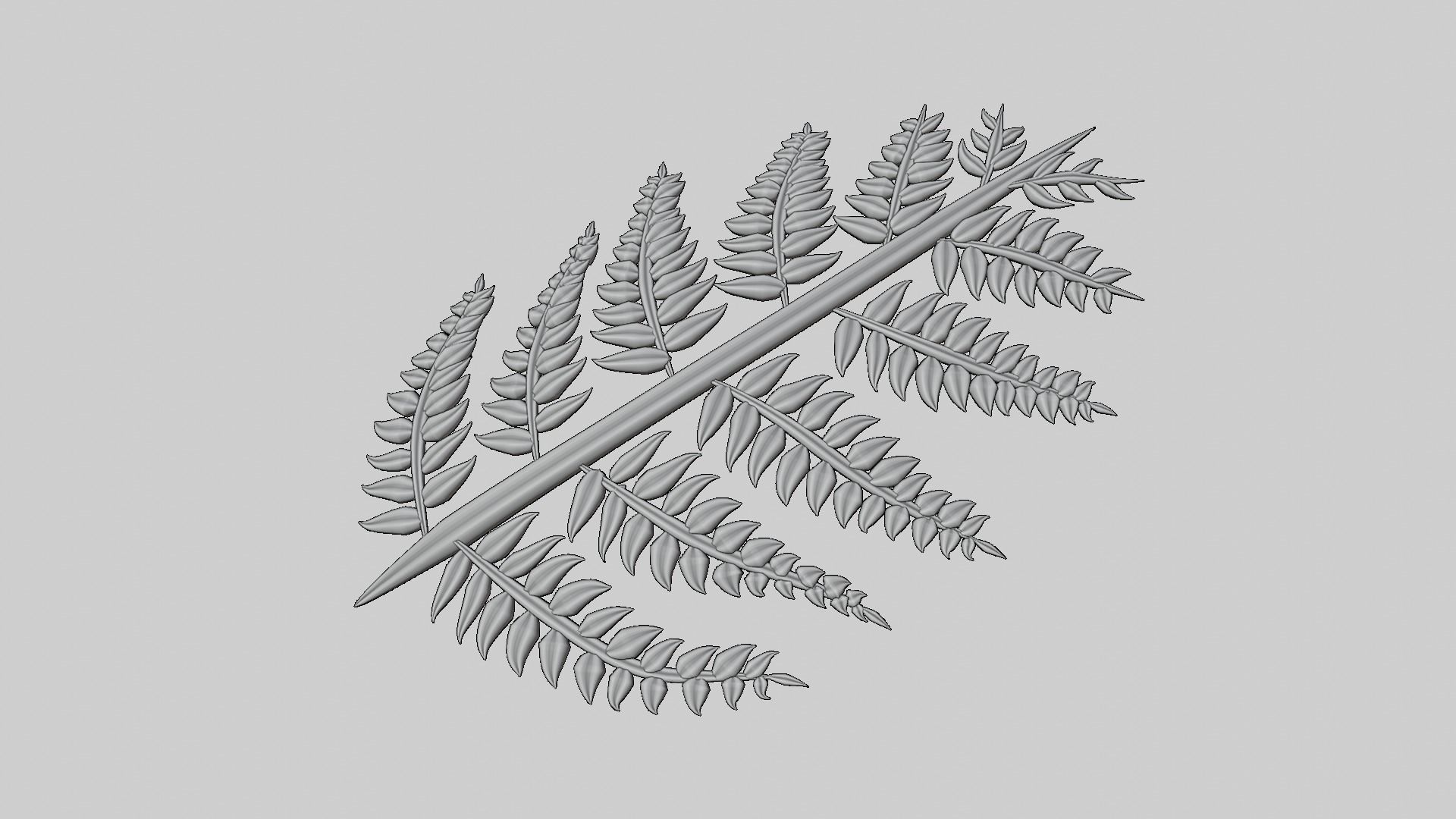Fern Plant Branch 3D model_11