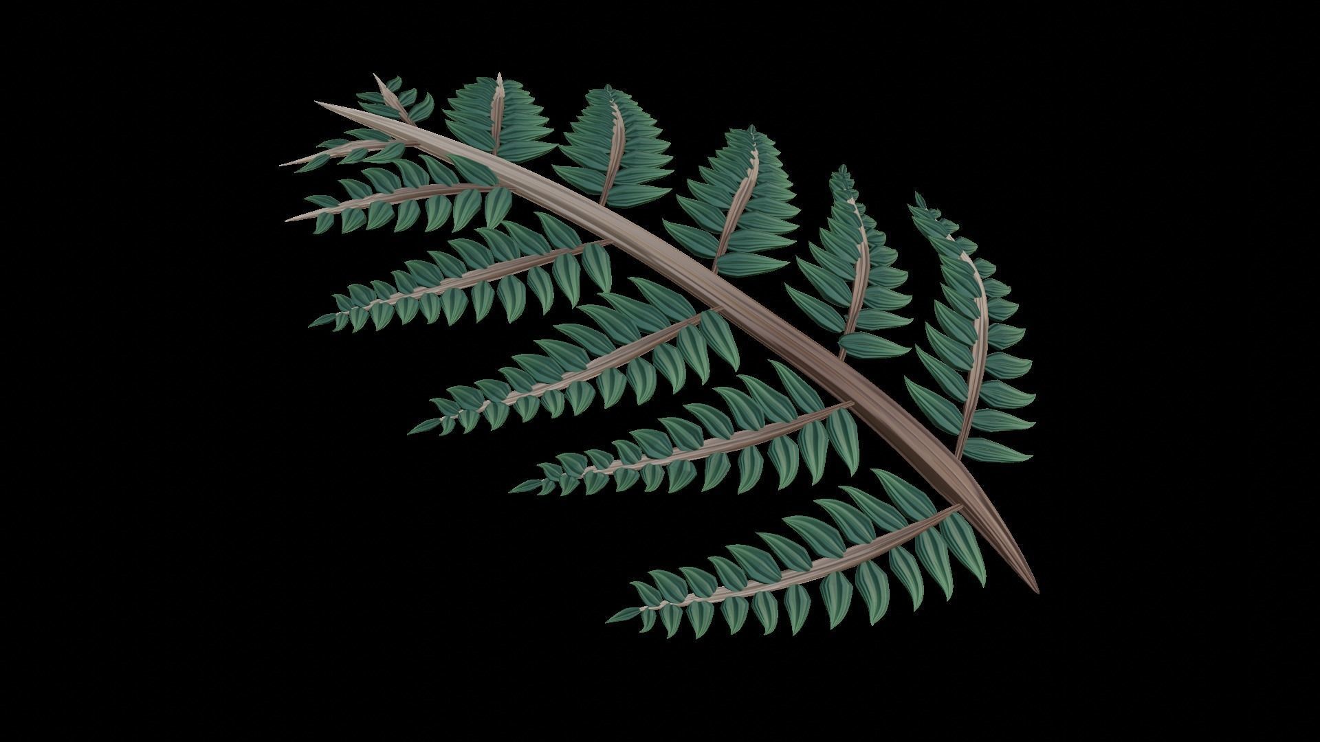 Fern Plant Branch 3D model_6