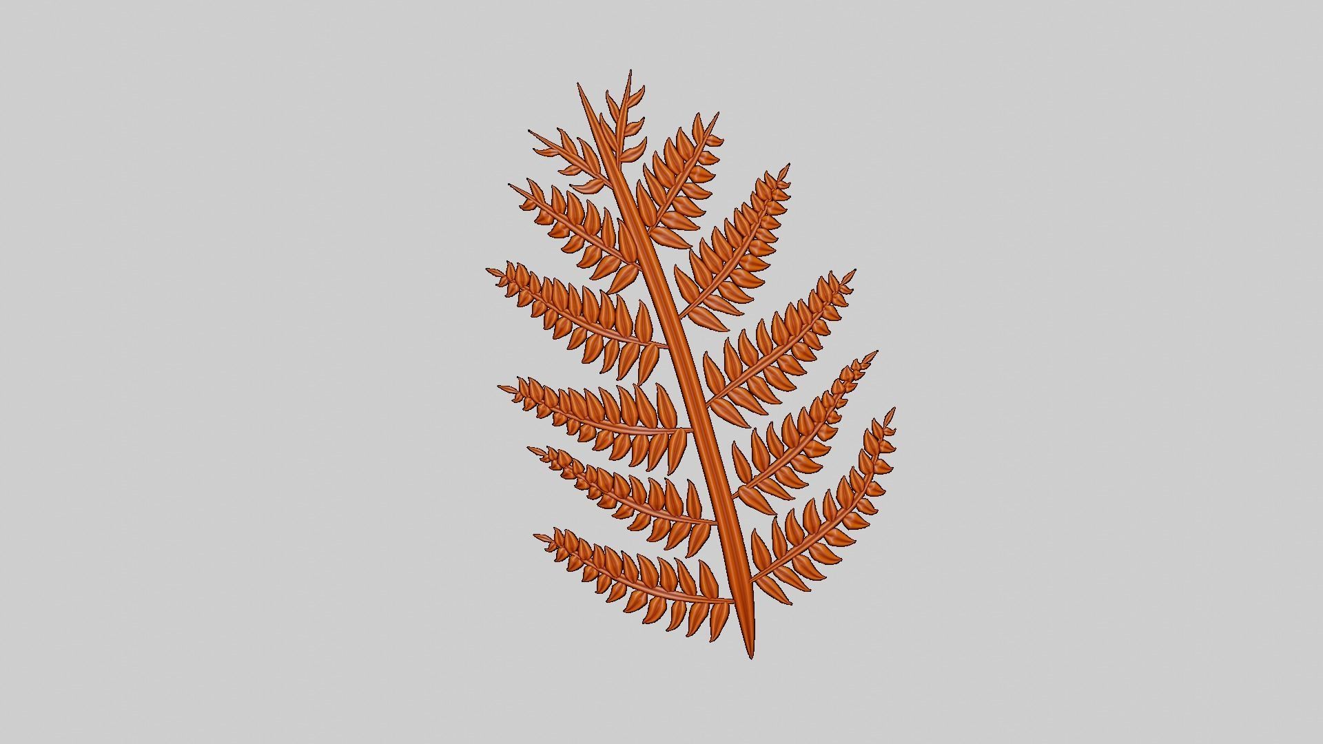 Fern Plant Branch 3D model_23