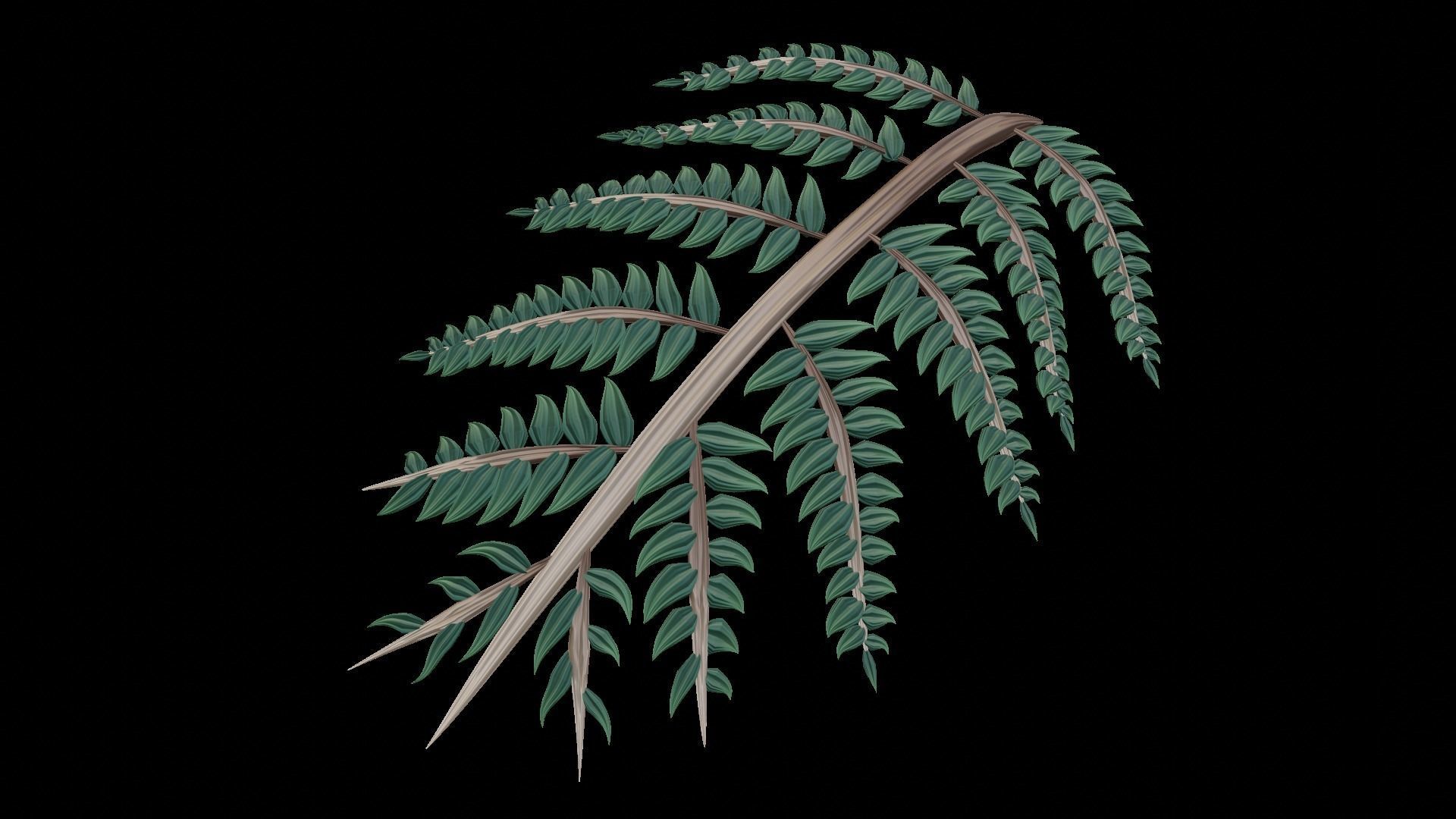 Fern Plant Branch 3D model_8
