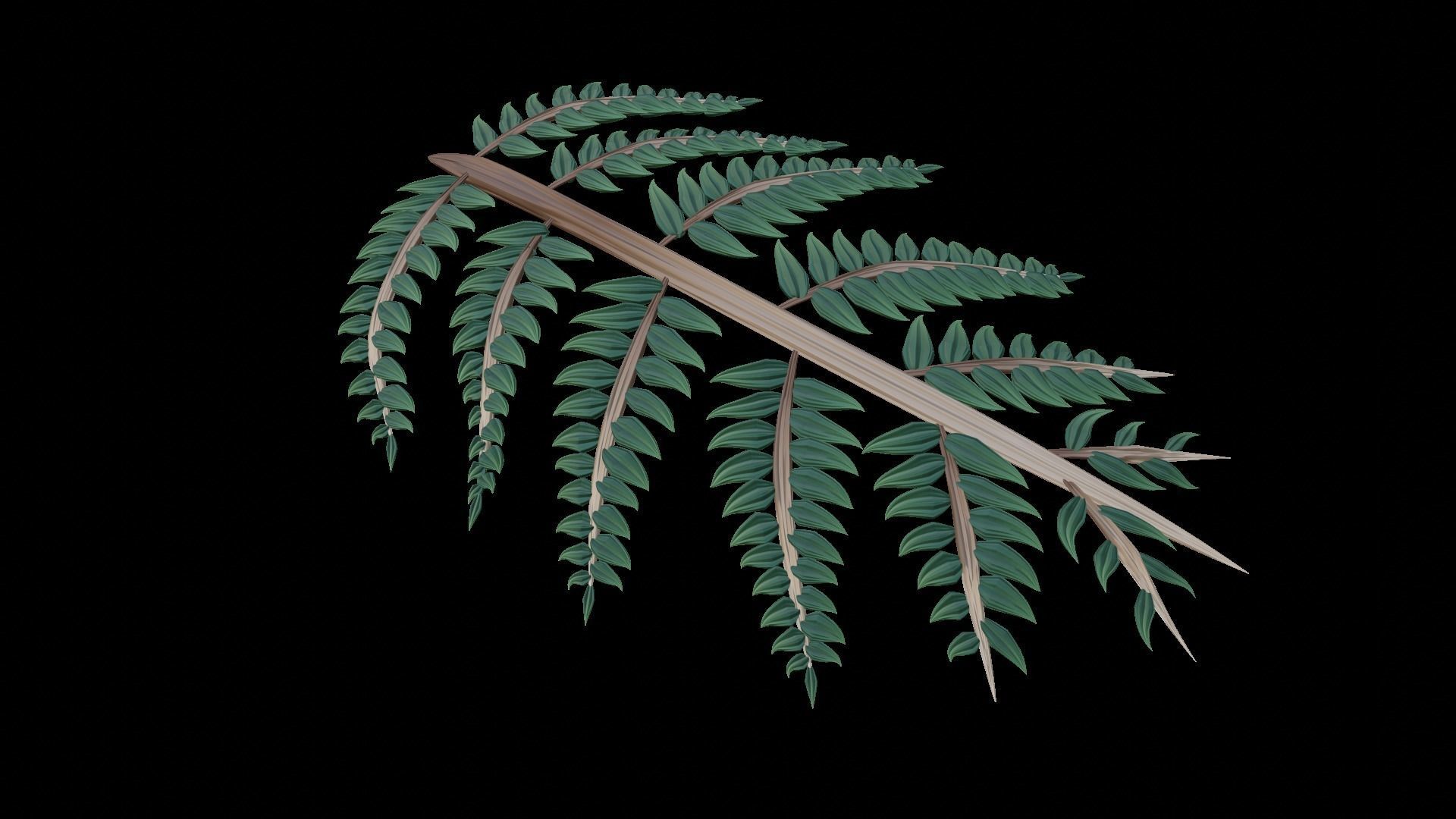 Fern Plant Branch 3D model_1