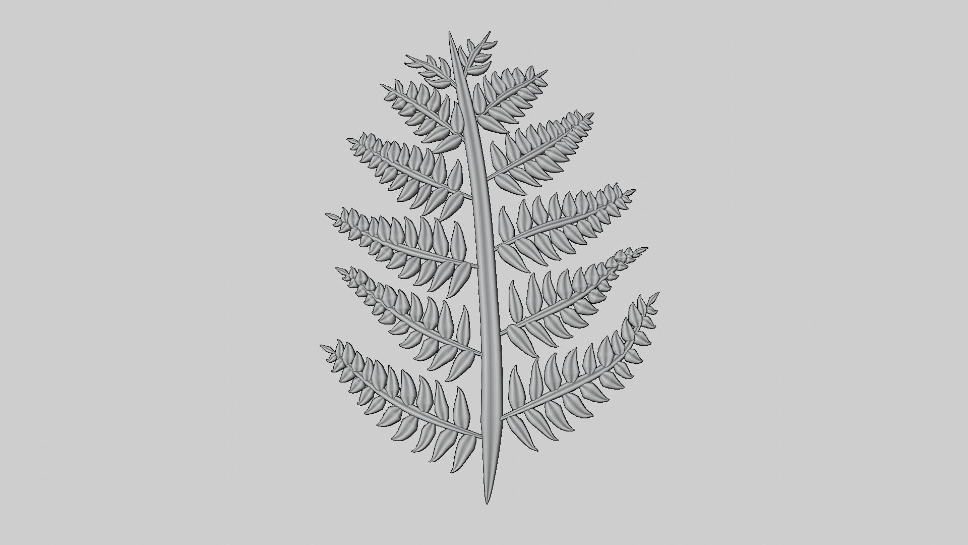 Fern Plant Branch 3D model_12