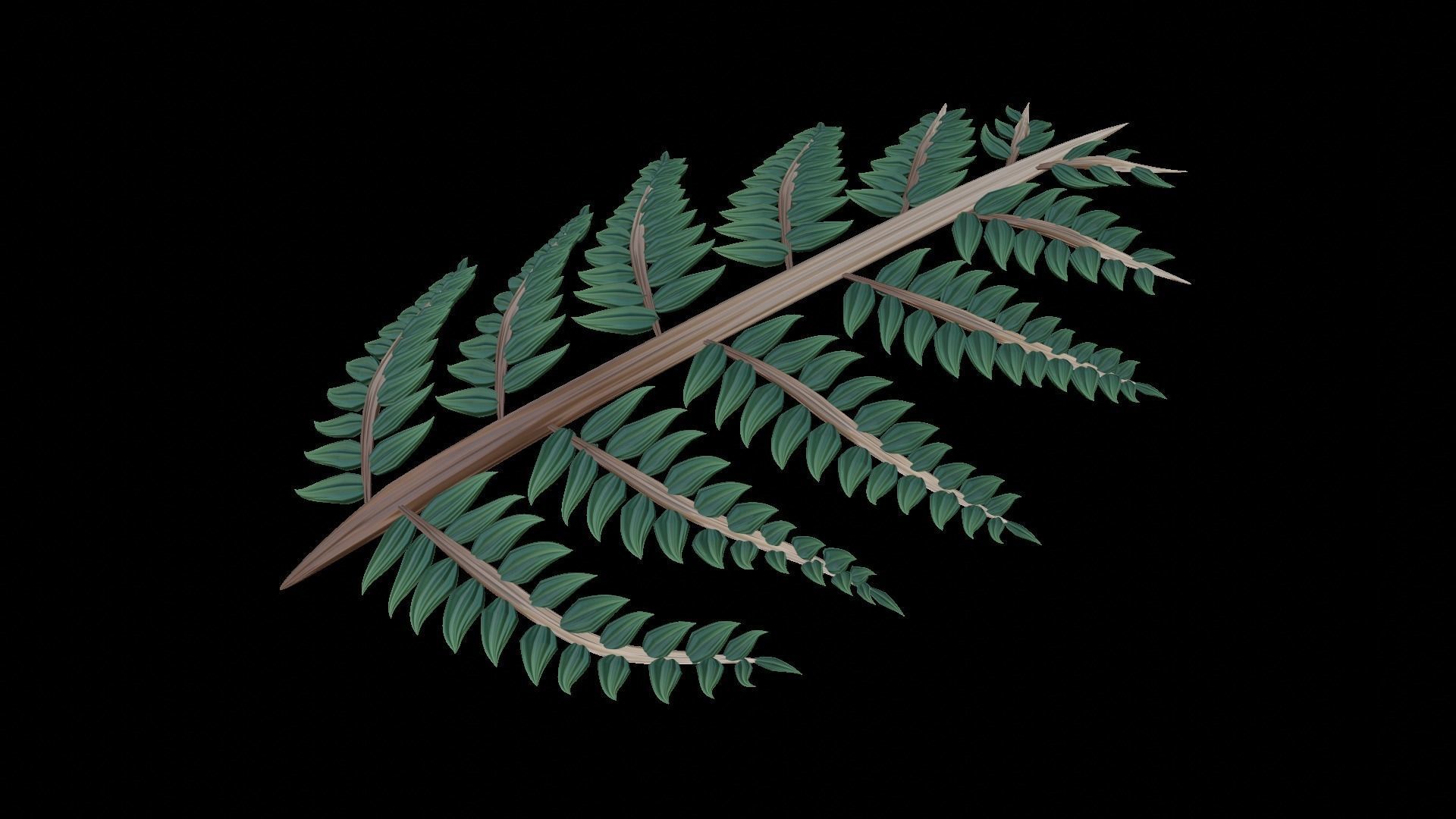 Fern Plant Branch 3D model_3