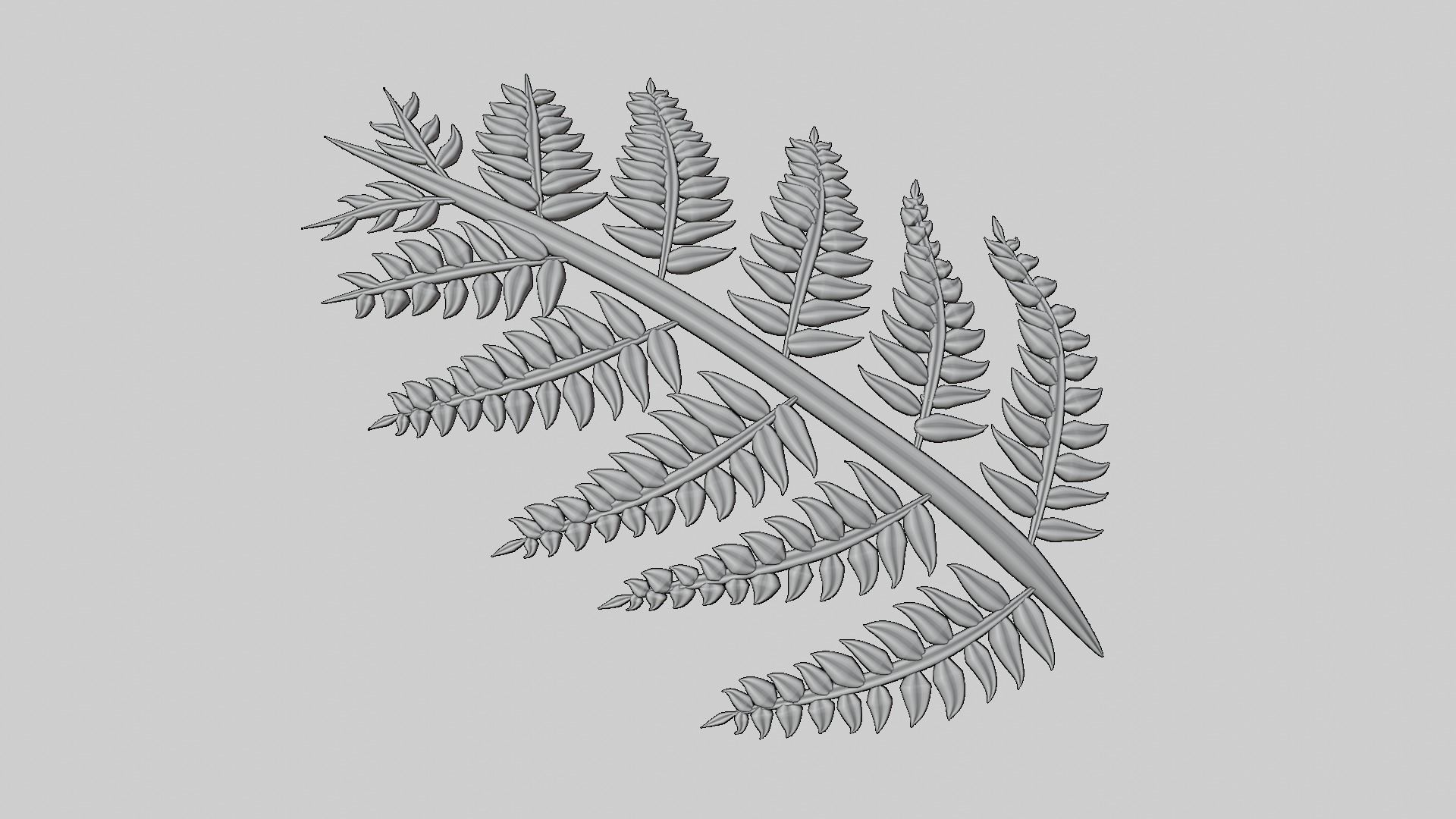 Fern Plant Branch 3D model_13