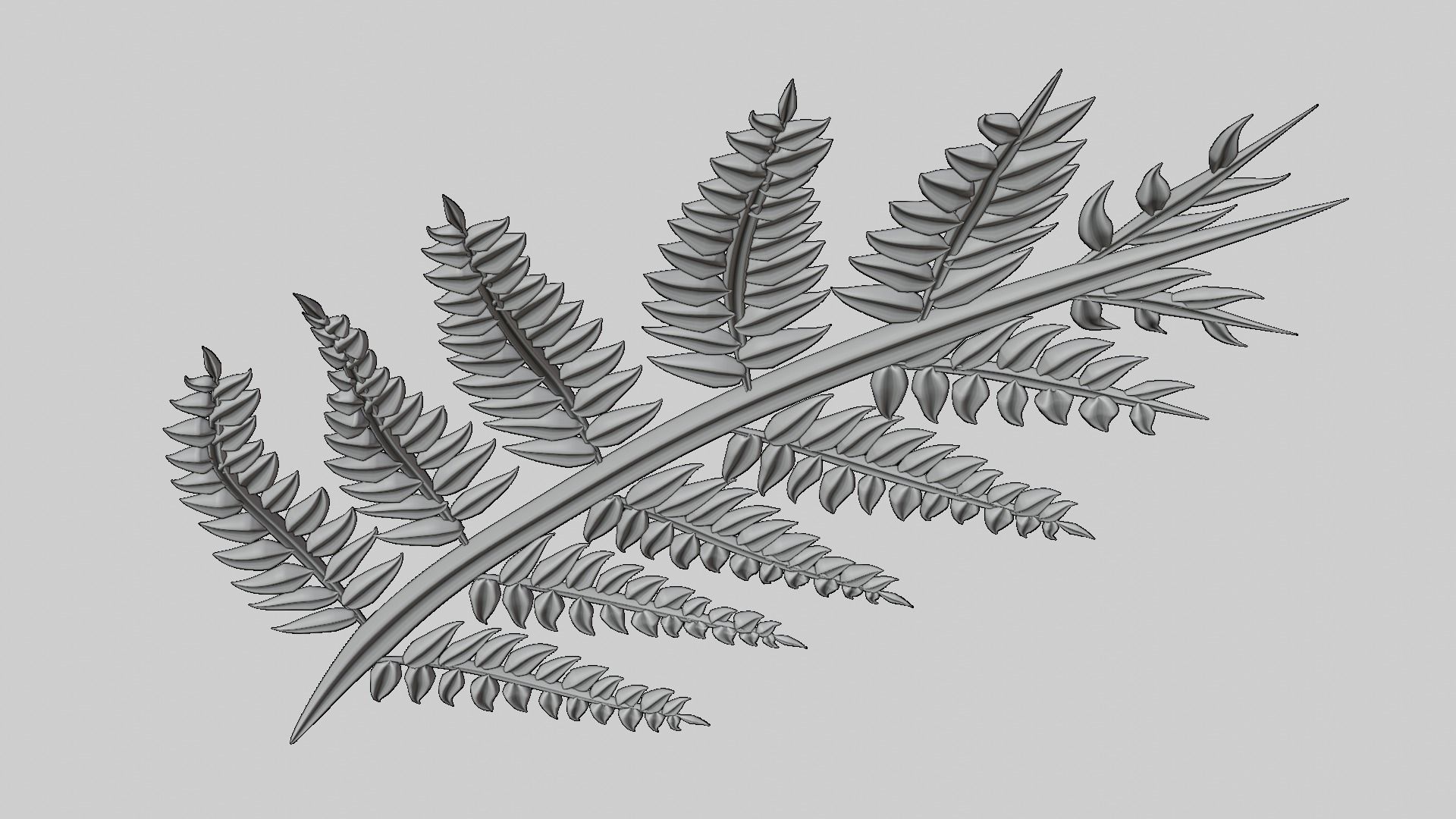 Fern Plant Branch 3D model_17