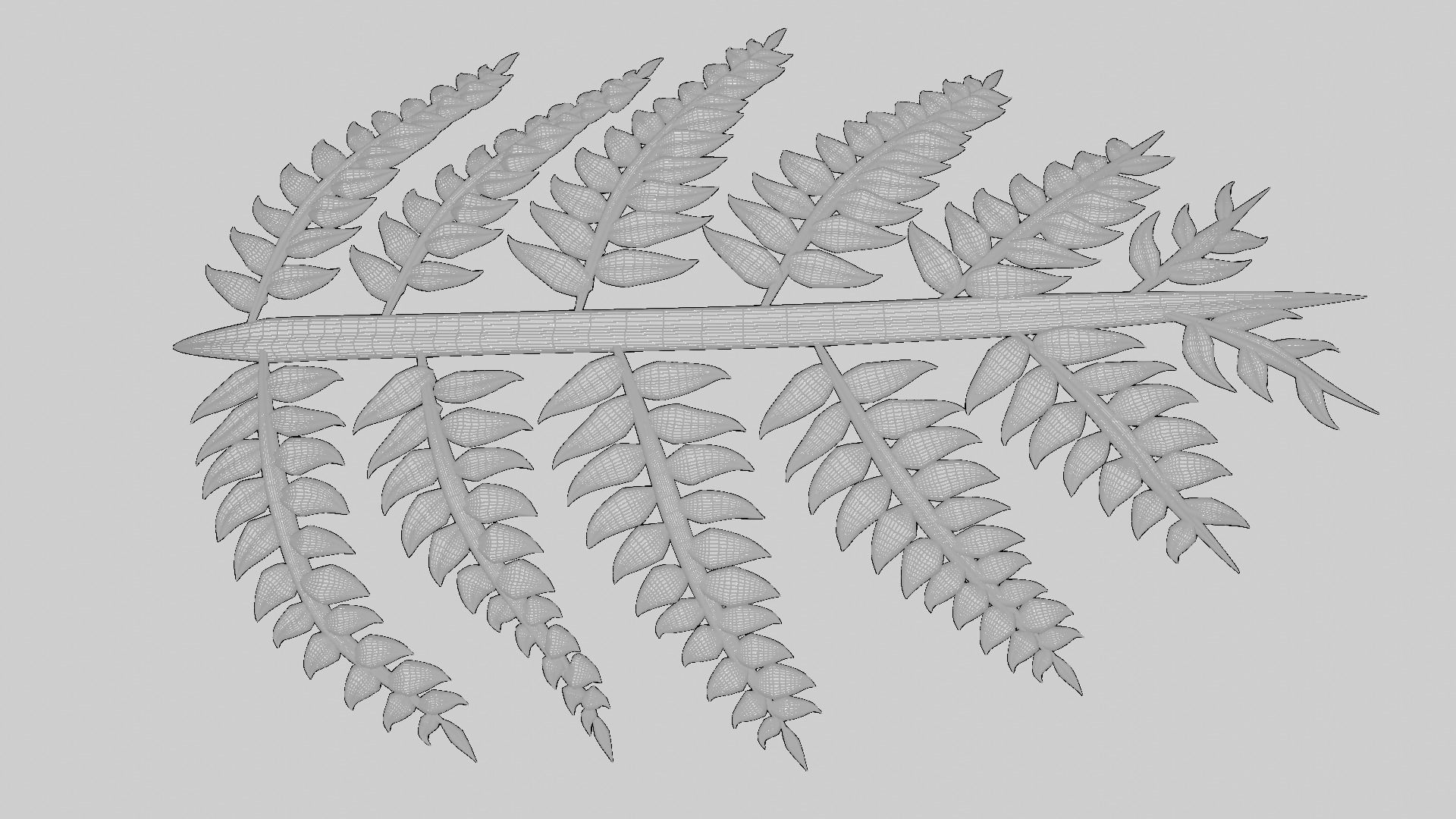 Fern Plant Branch 3D model_24