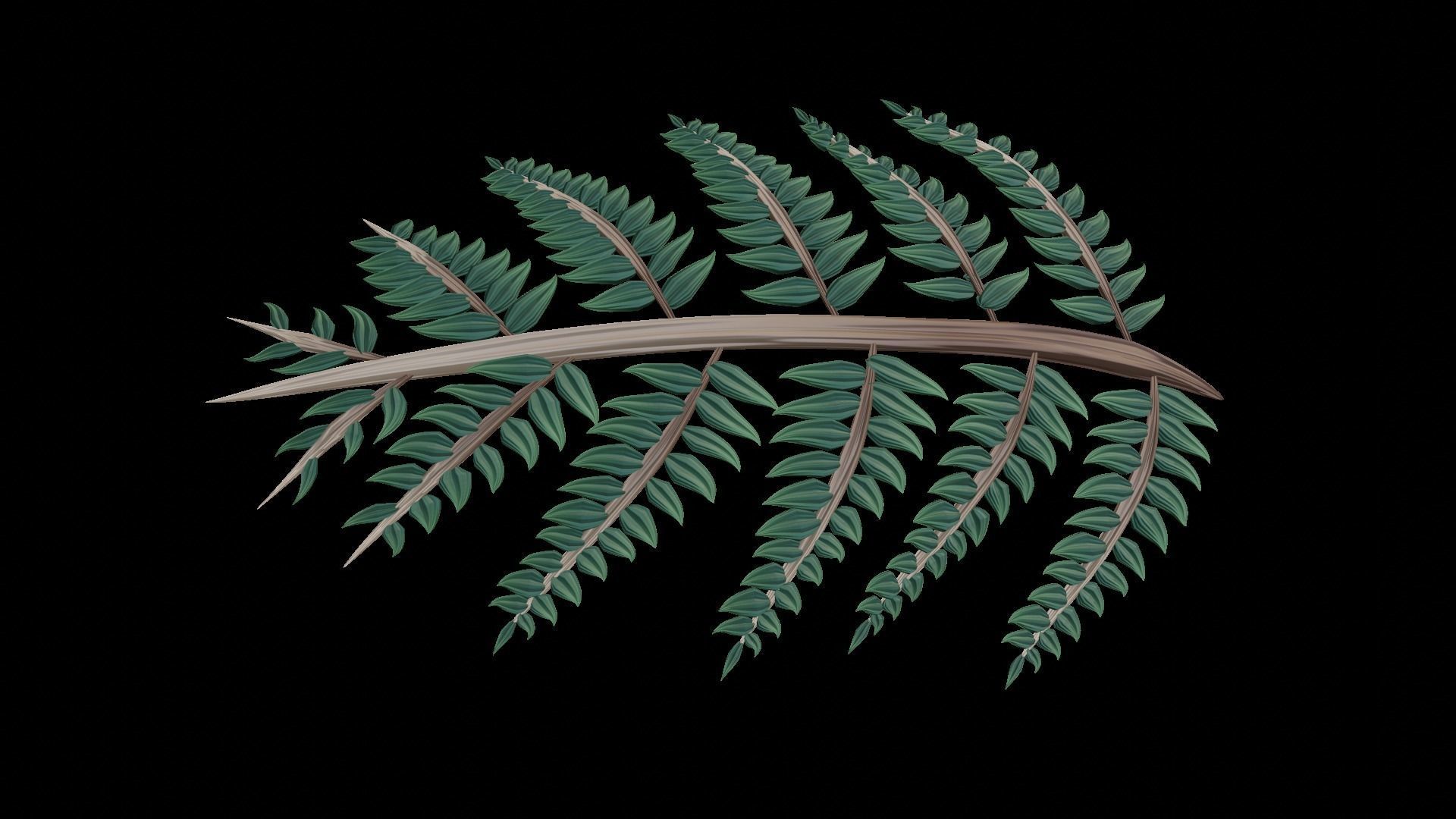 Fern Plant Branch 3D model_7