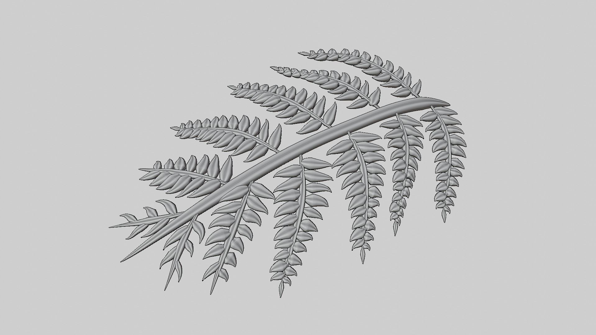 Fern Plant Branch 3D model_14