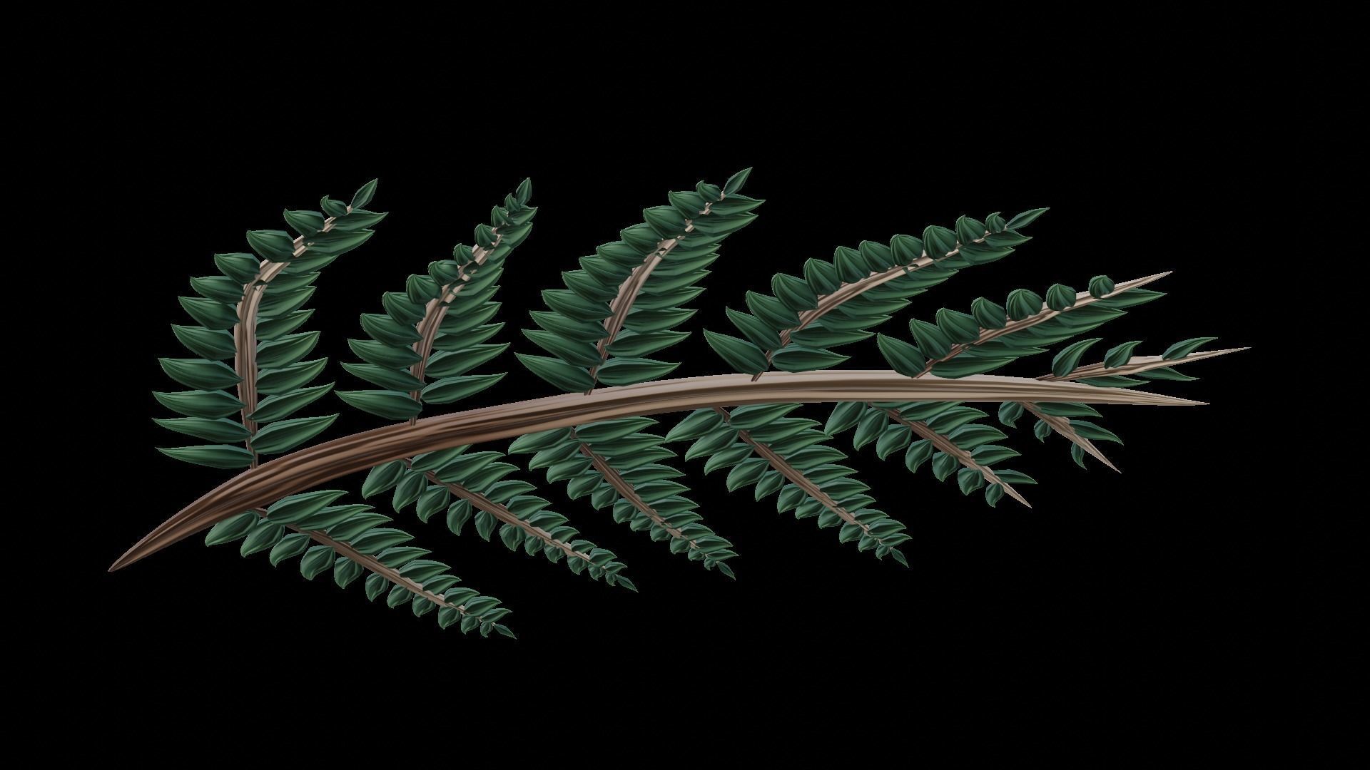 Fern Plant Branch 3D model_4