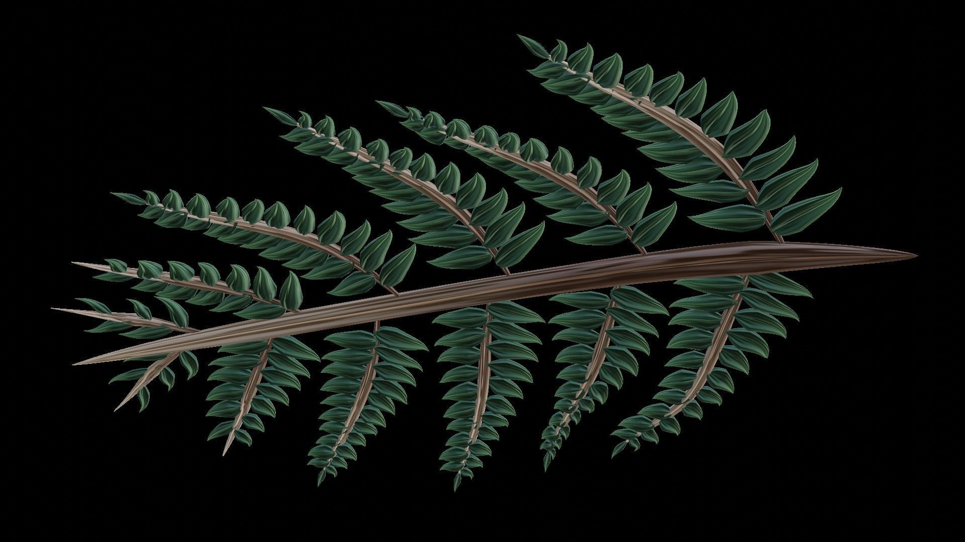 Fern Plant Branch 3D model_10