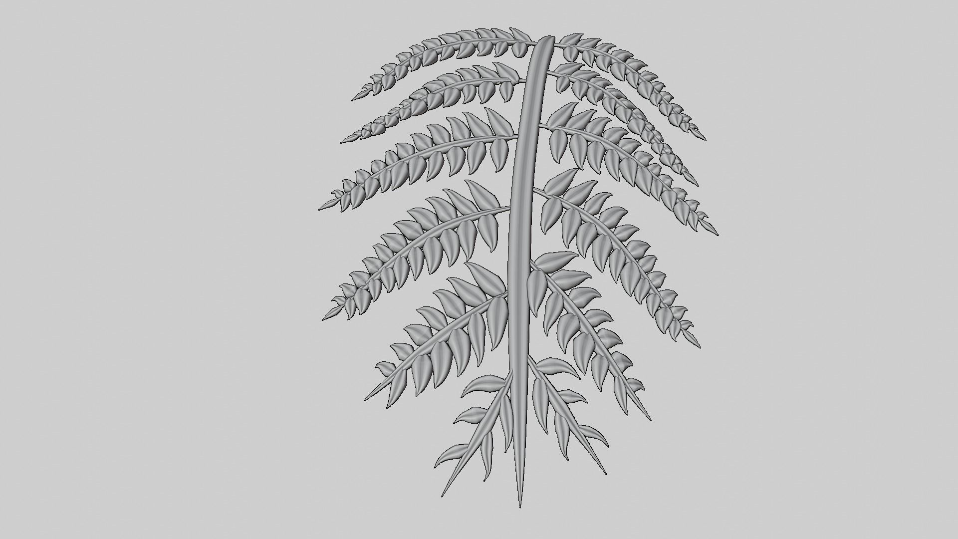 Fern Plant Branch 3D model_15