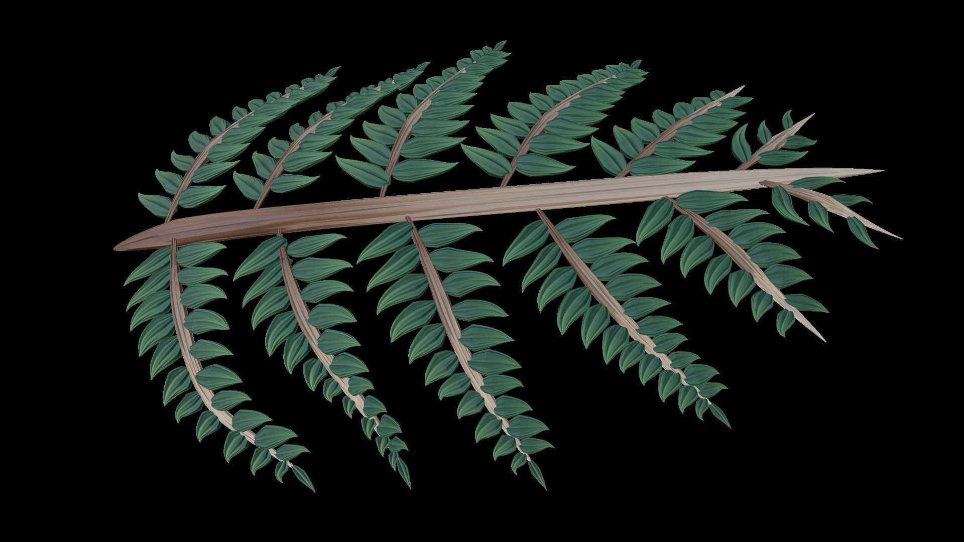 Fern Plant Branch 3D model_2