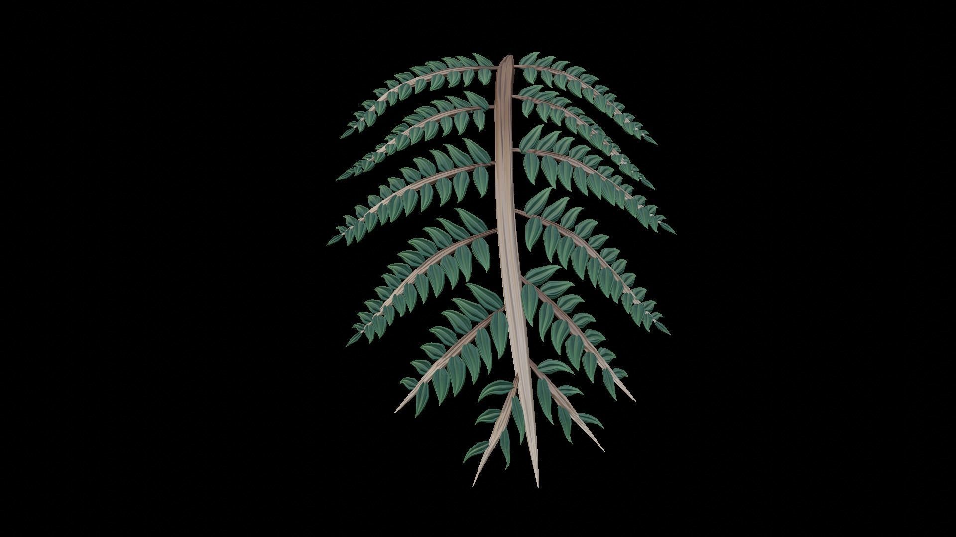 Fern Plant Branch 3D model_9