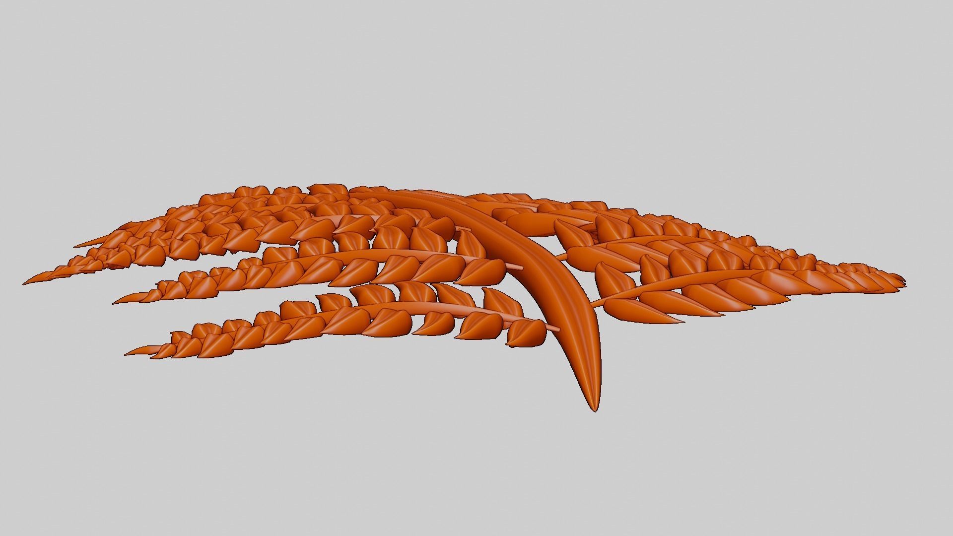 Fern Plant Branch 3D model_20