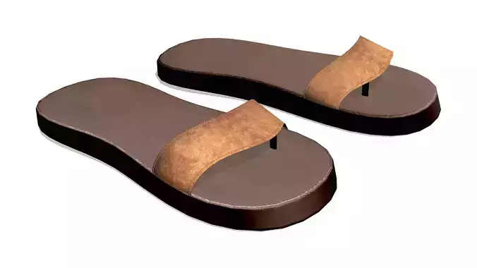 Men Flip Flops