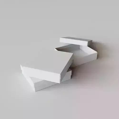 2 Piece Rigid Box Premium - Package 3D model