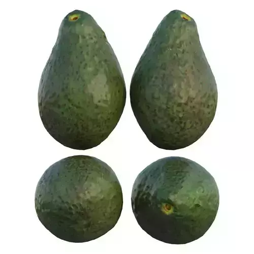 Pinkerton Avocado
