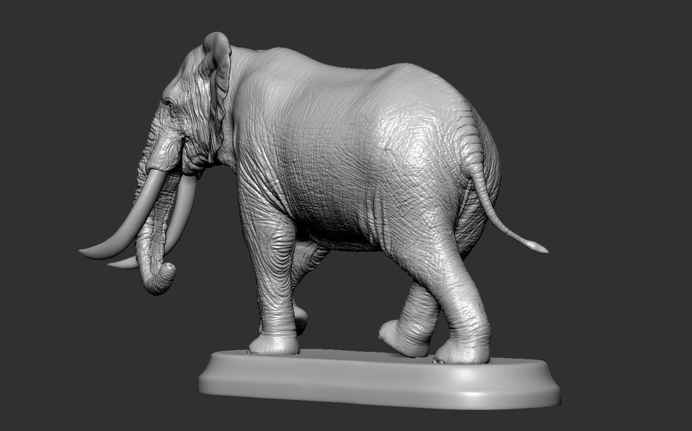Elephant with tusks 3D print model_16