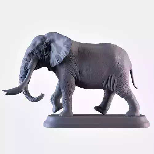 Elephant with tusks 3D print model