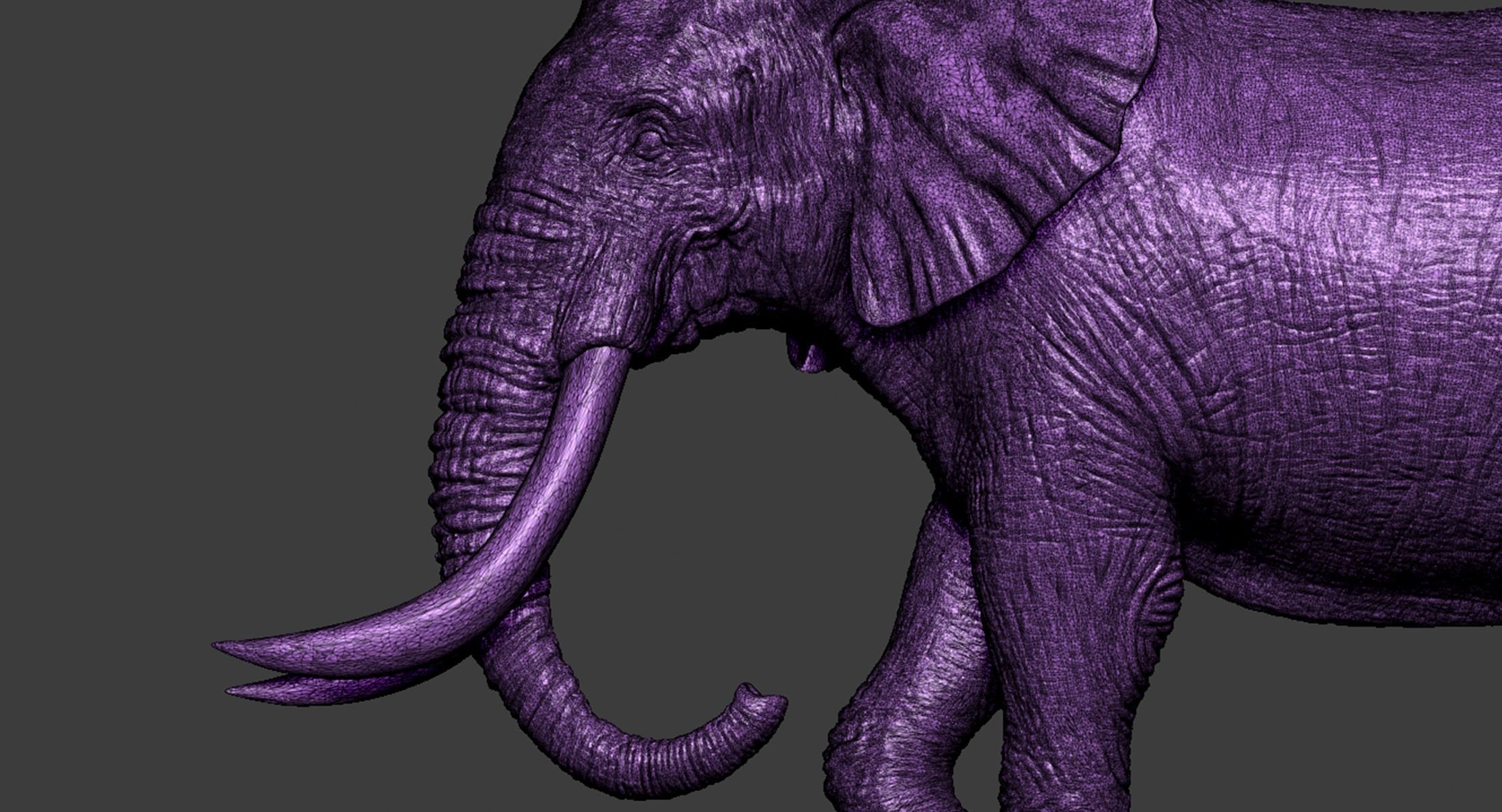 Elephant with tusks 3D print model_21