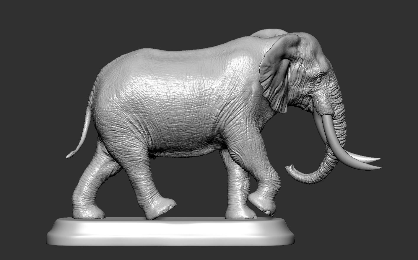 Elephant with tusks 3D print model_13