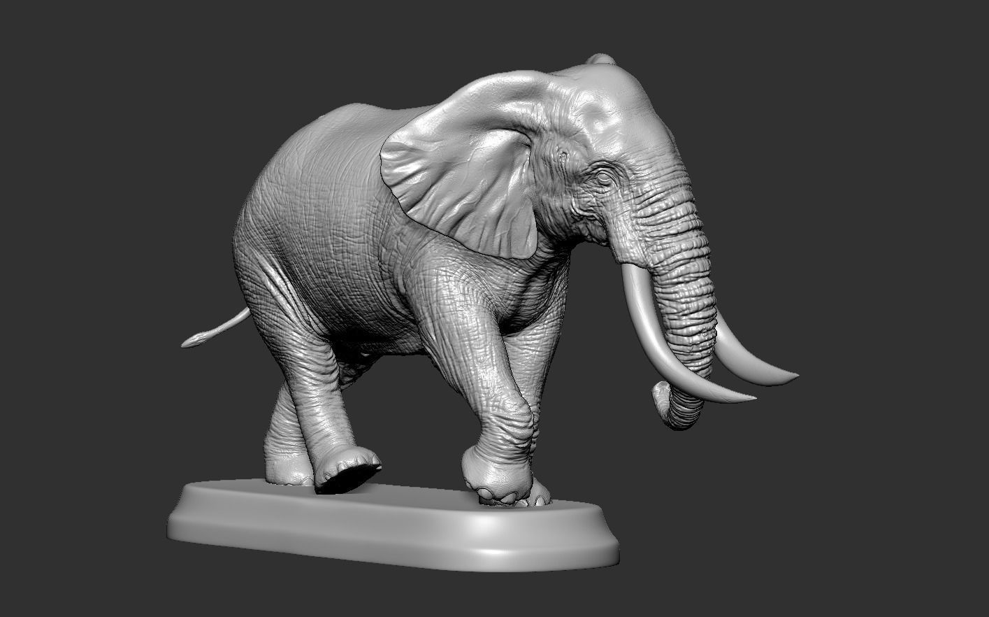 Elephant with tusks 3D print model_12