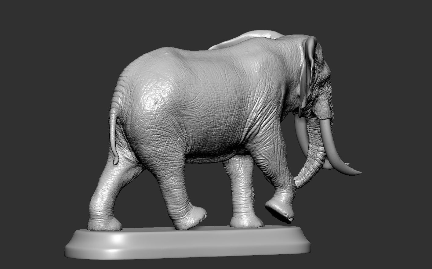 Elephant with tusks 3D print model_14