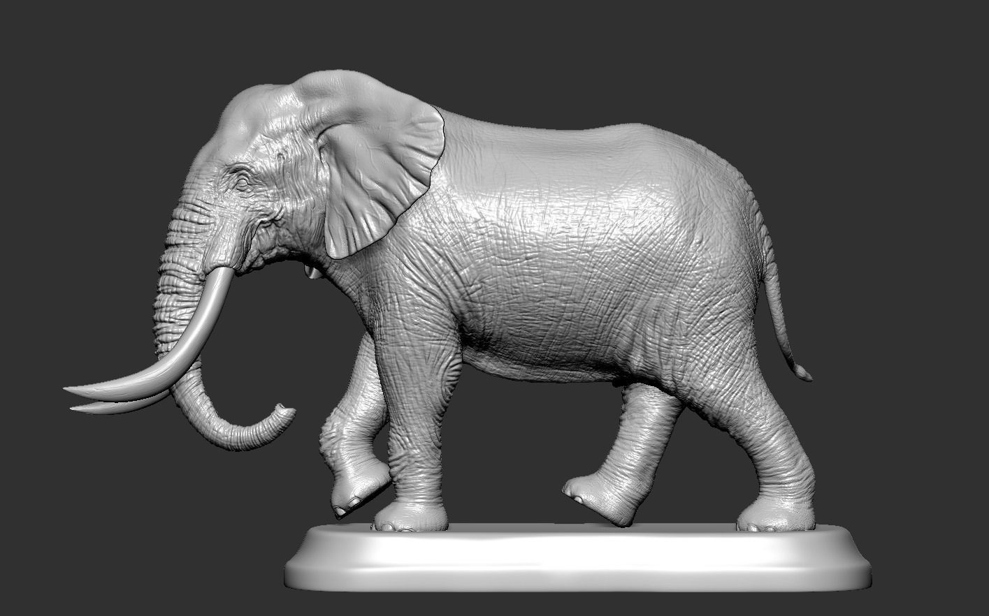 Elephant with tusks 3D print model_9