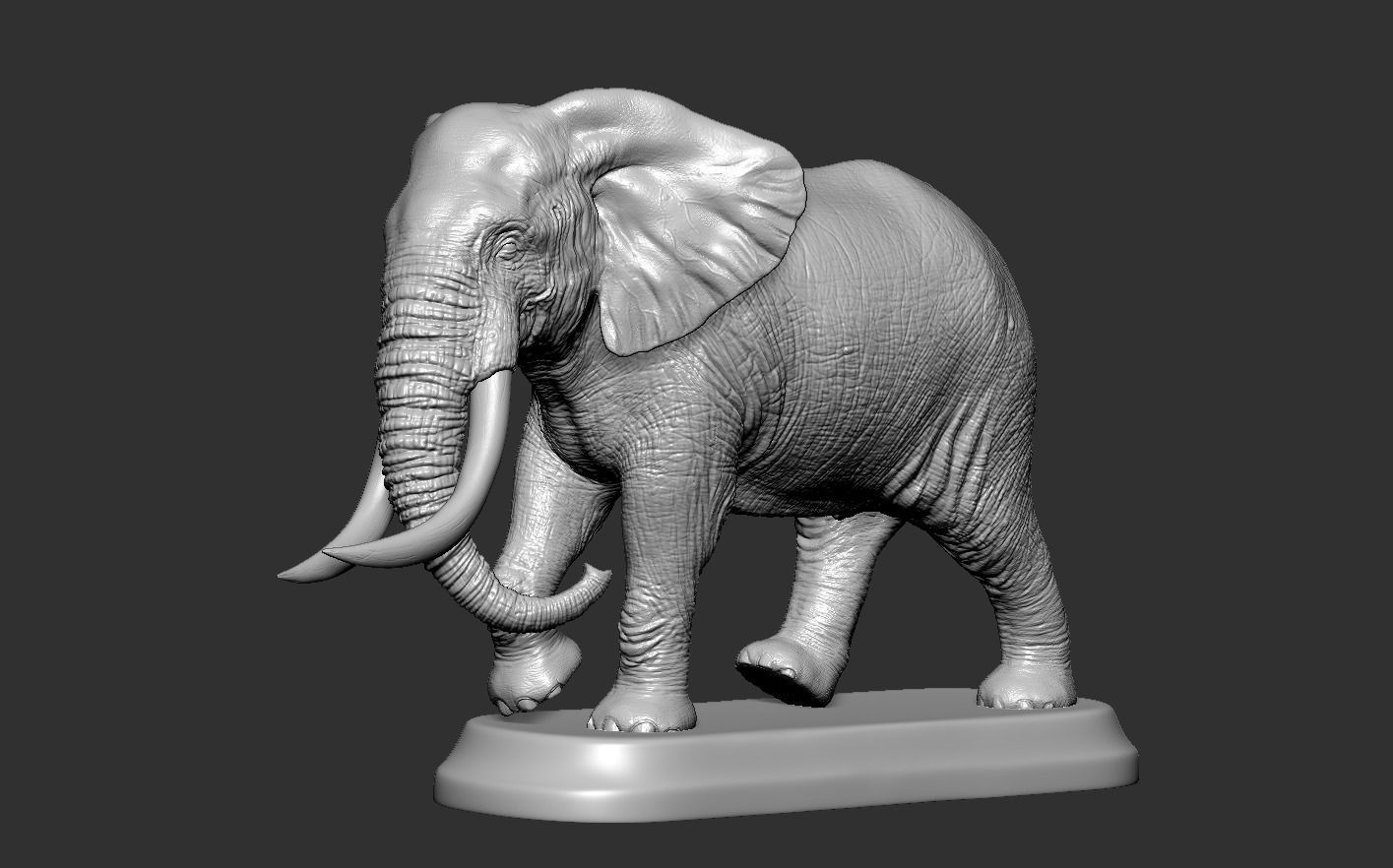 Elephant with tusks 3D print model_10